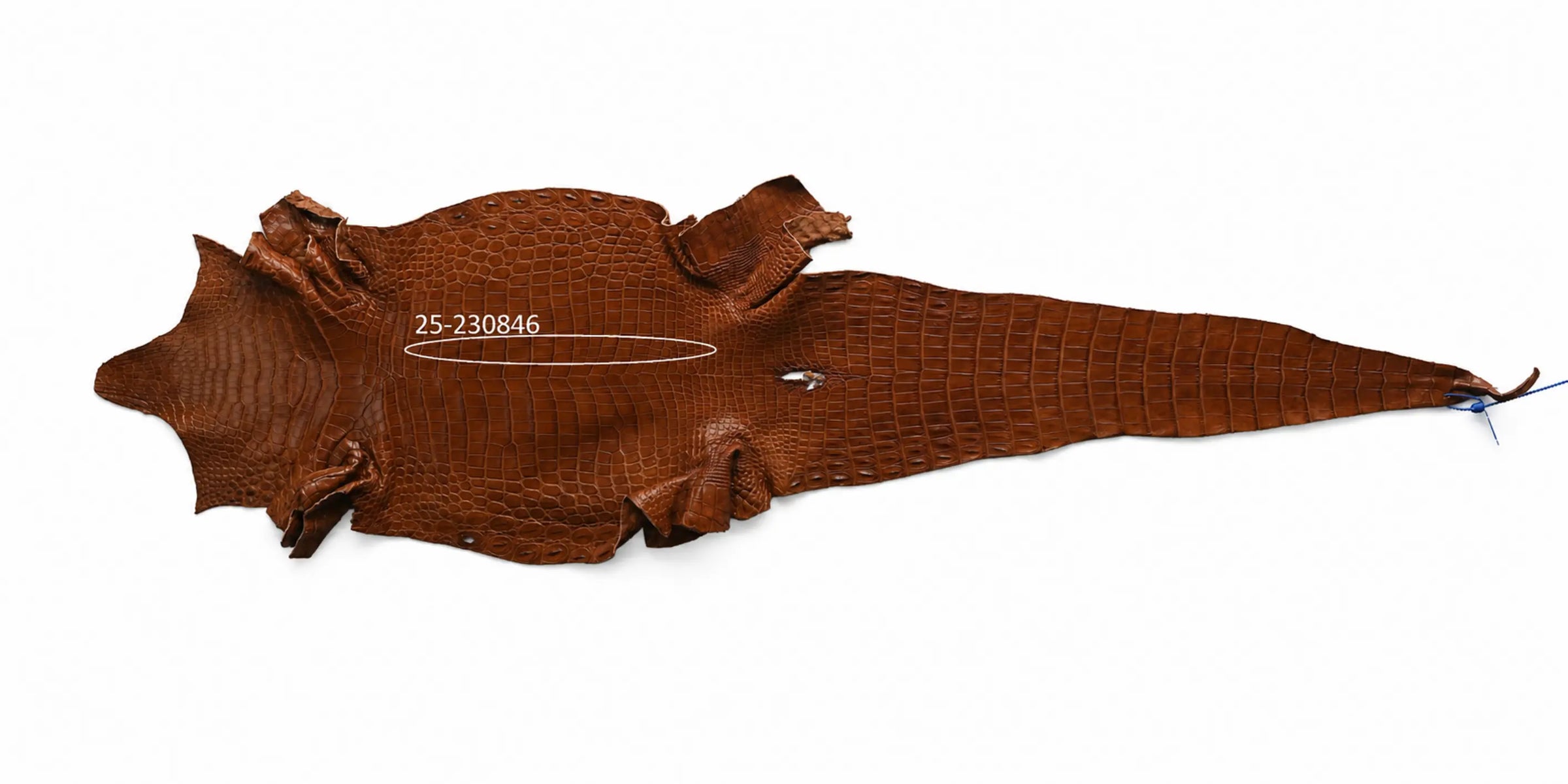 Seronera belt - Cognac / 70 cm / 35 mm - 126842 - skin