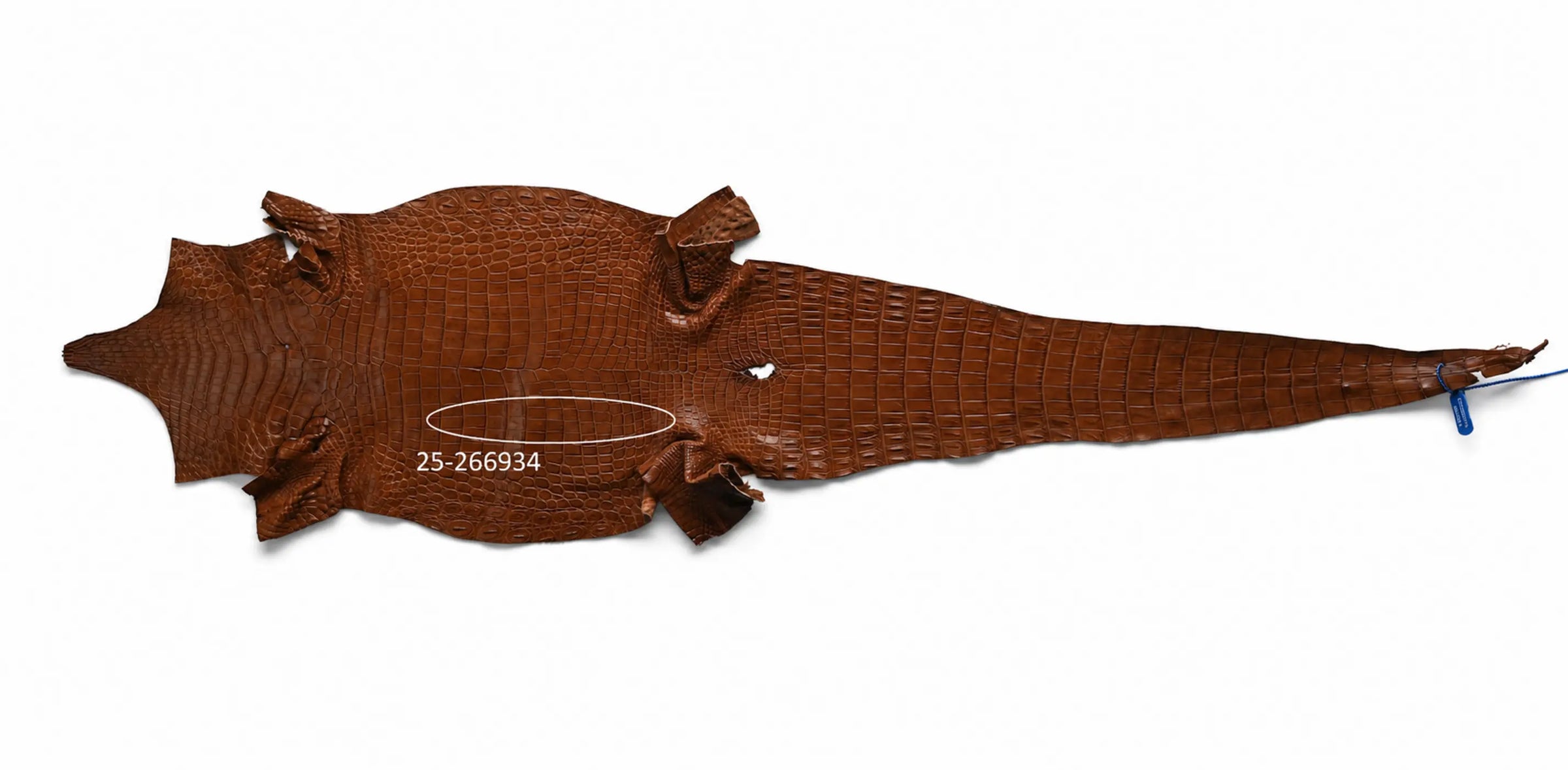Seronera belt - Cognac / 70 cm / 35 mm - 126944 - skin