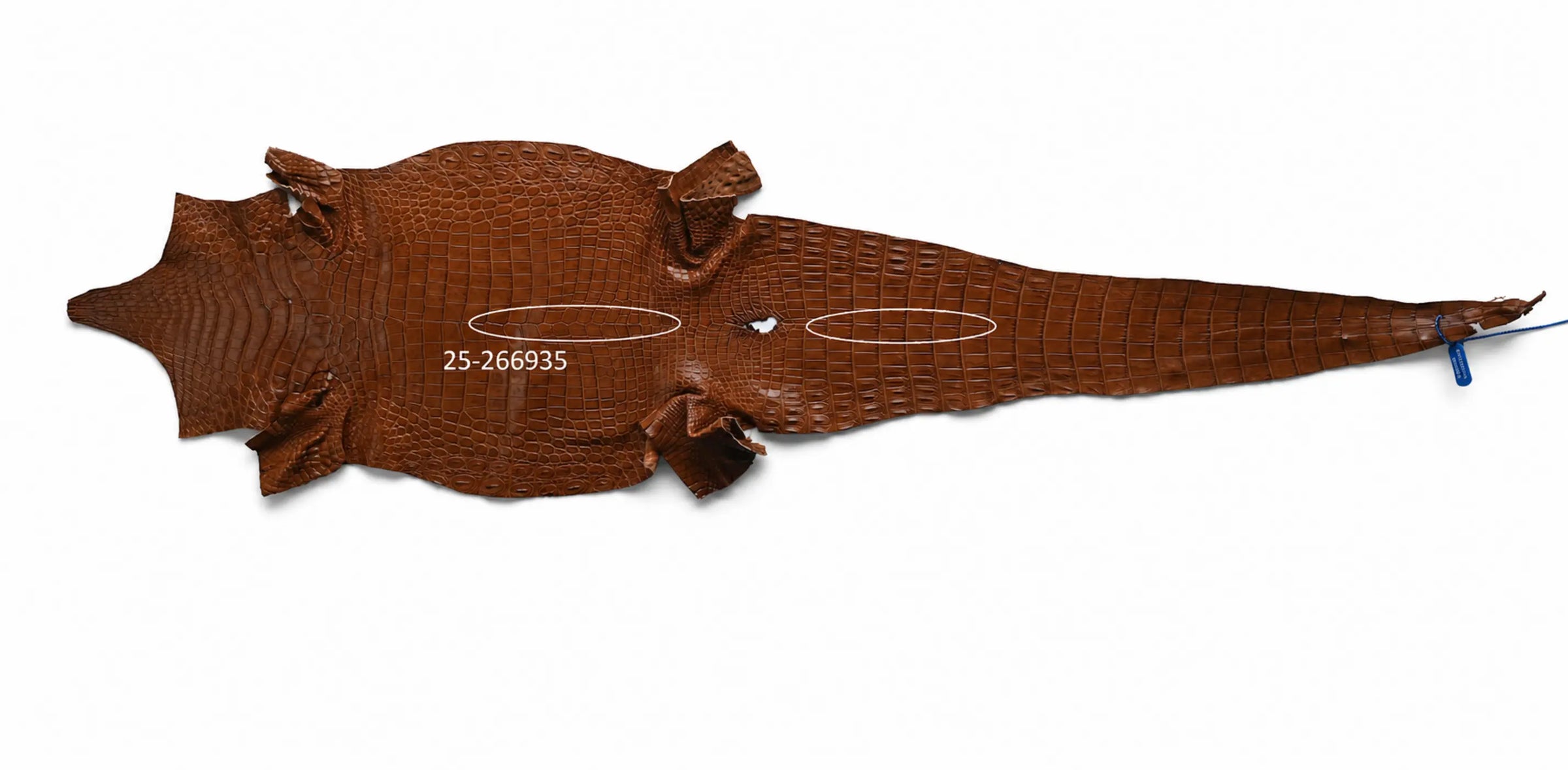 Seronera belt - Cognac / 70 cm / 35 mm - 126945 - skin