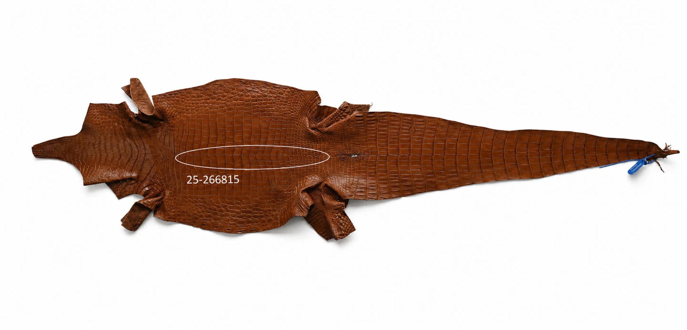 Seronera belt - Cognac / 85 cm / 35 mm - 127372 - skin