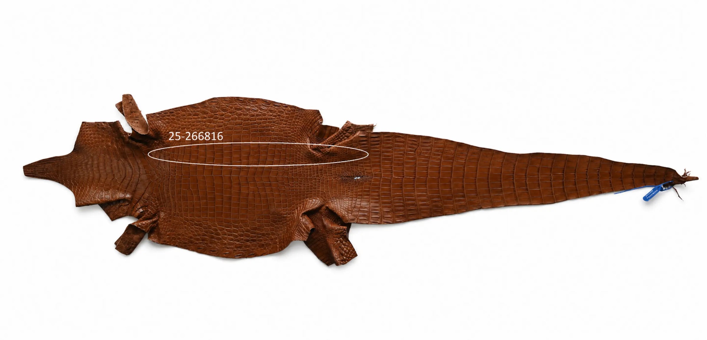 Seronera belt - Cognac / 95 cm / 35 mm - 127373 - skin