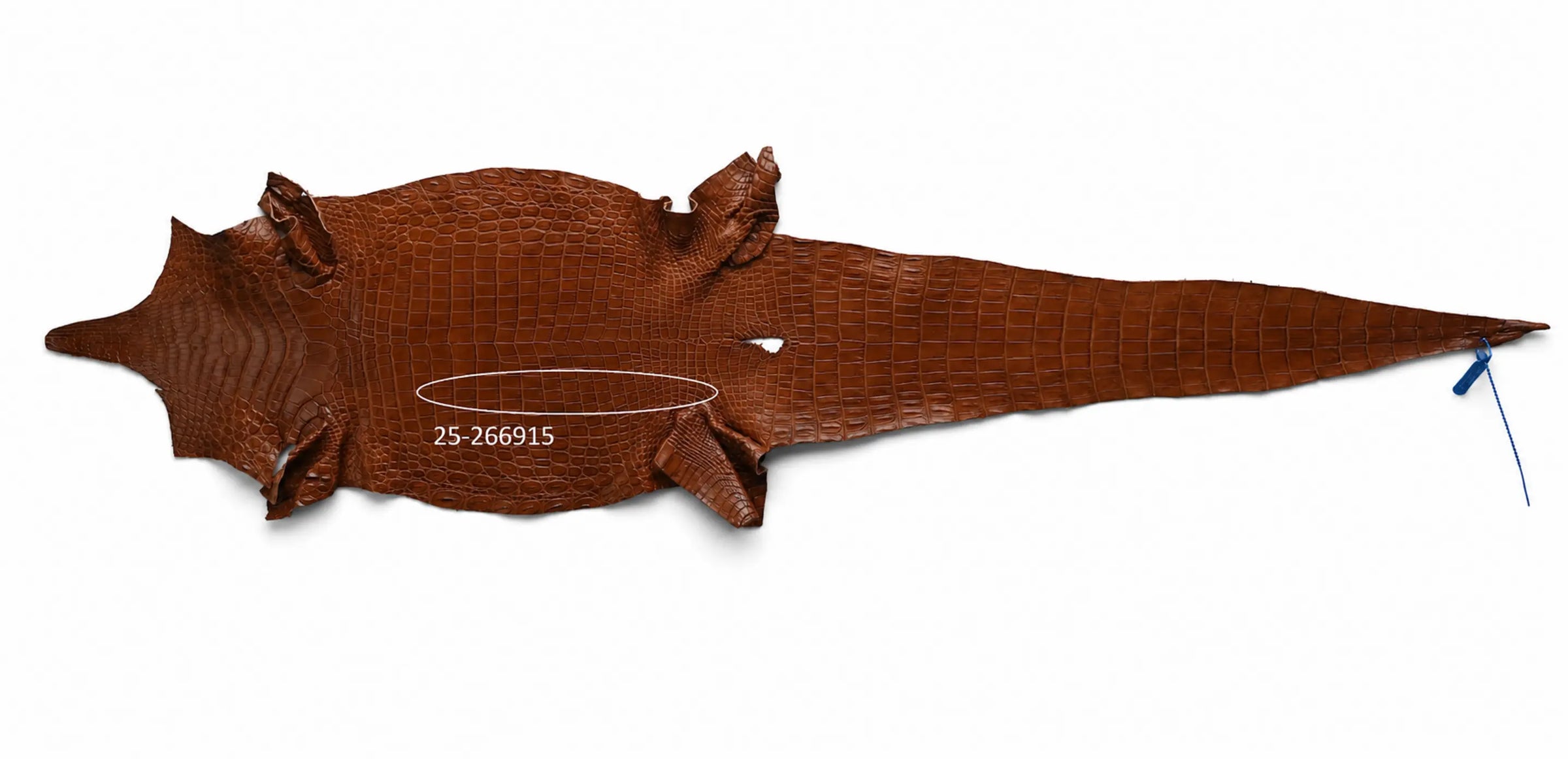 Seronera belt - Cognac / 90 cm / 35 mm - 126925 - skin