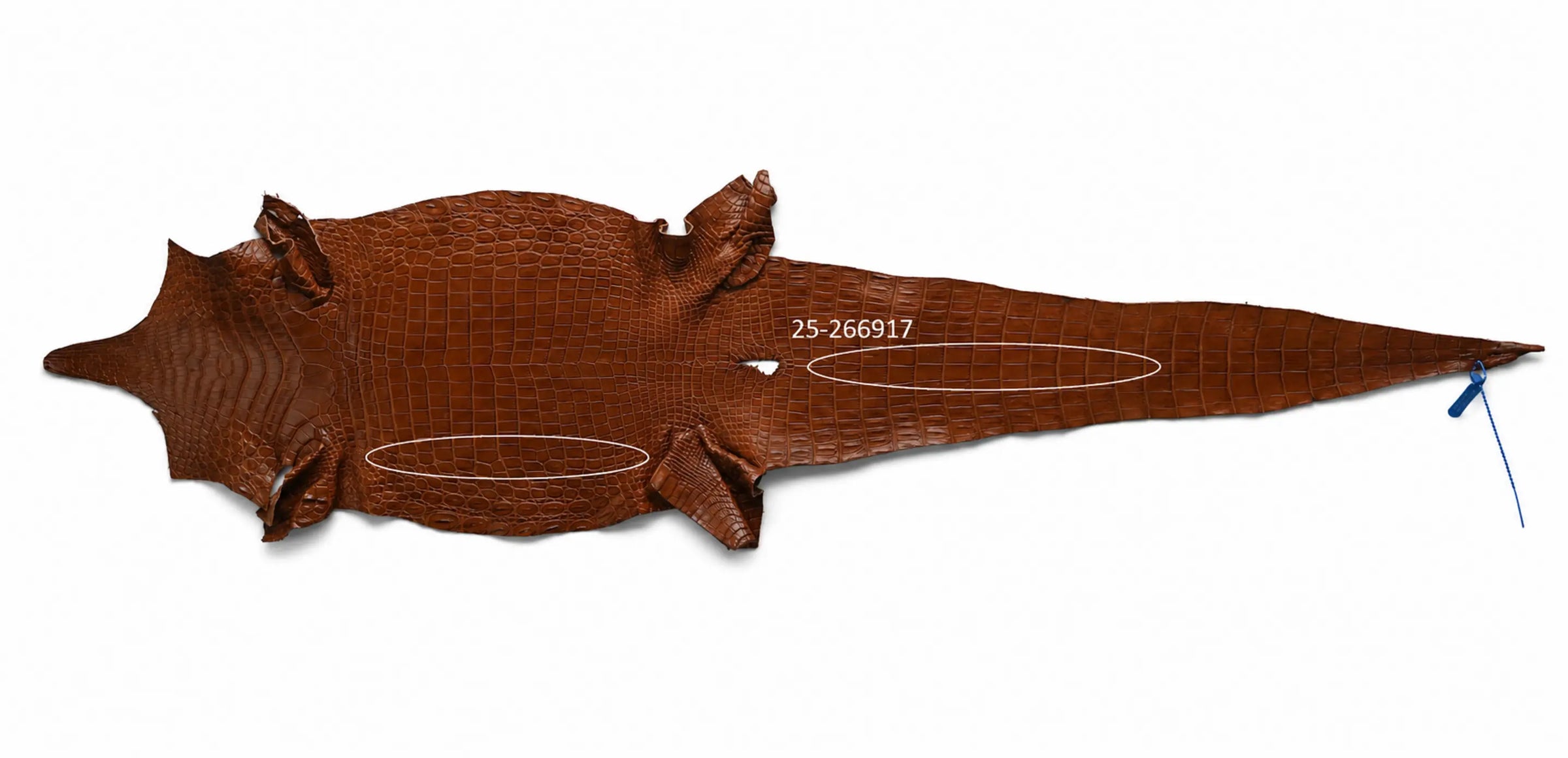 Seronera belt - Cognac / 85 cm / 35 mm - 126927 - skin
