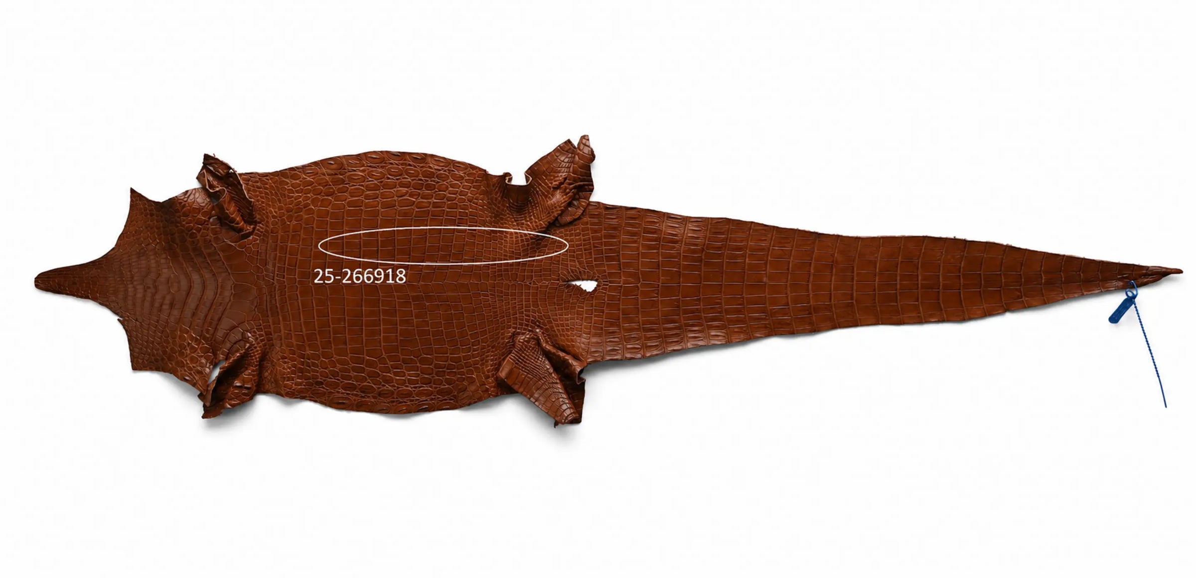 Seronera belt - Cognac / 95 cm / 40 mm - 126928 - skin