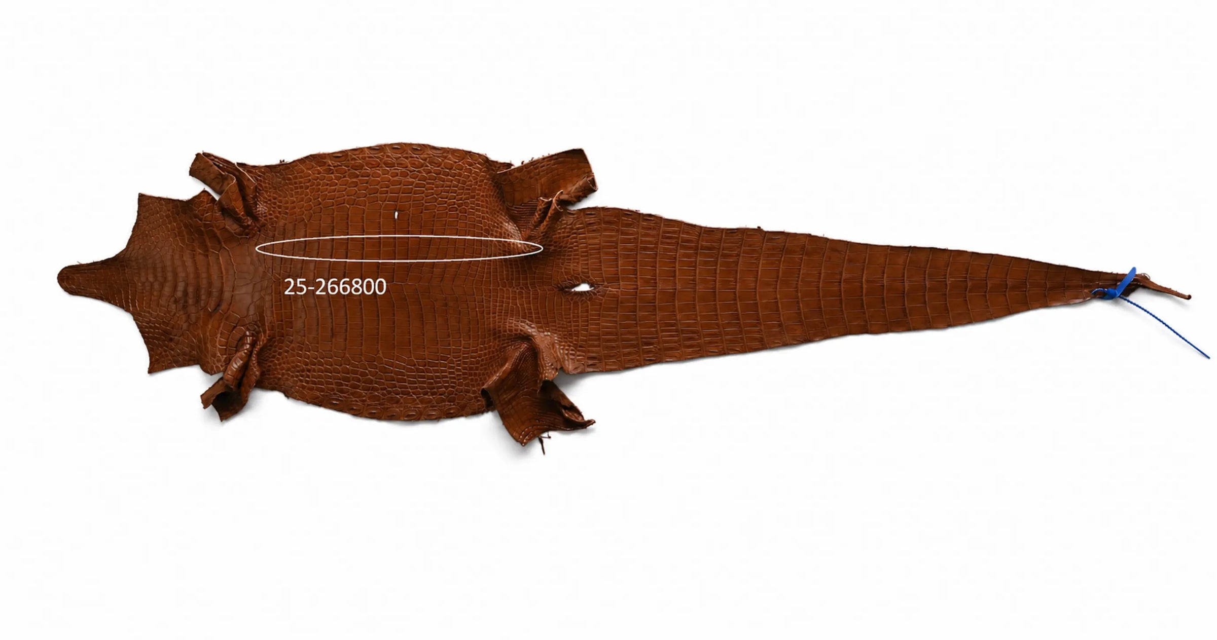 Seronera belt - Cognac / 90 cm / 40 mm - 126880 - skin