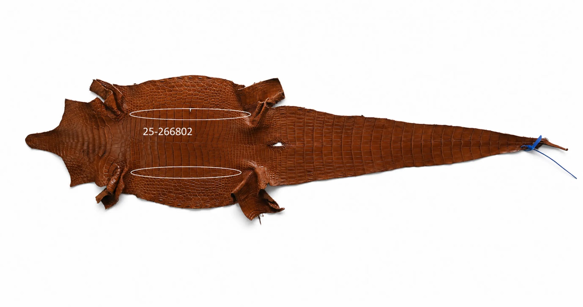 Seronera belt - Cognac / 85 cm / 35 mm - 126882 - skin