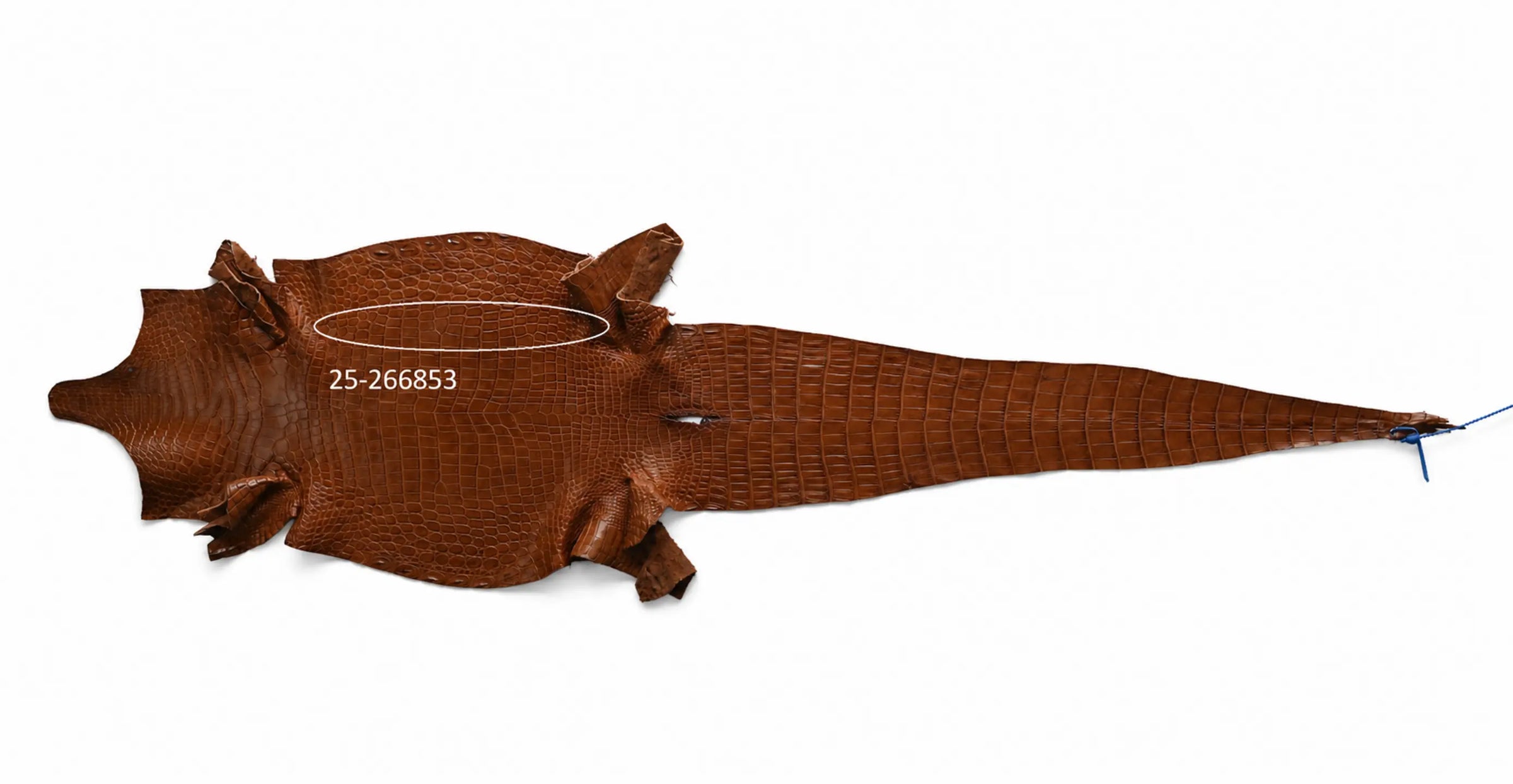 Seronera belt - Cognac / 90 cm / 35 mm - 127410 - skin