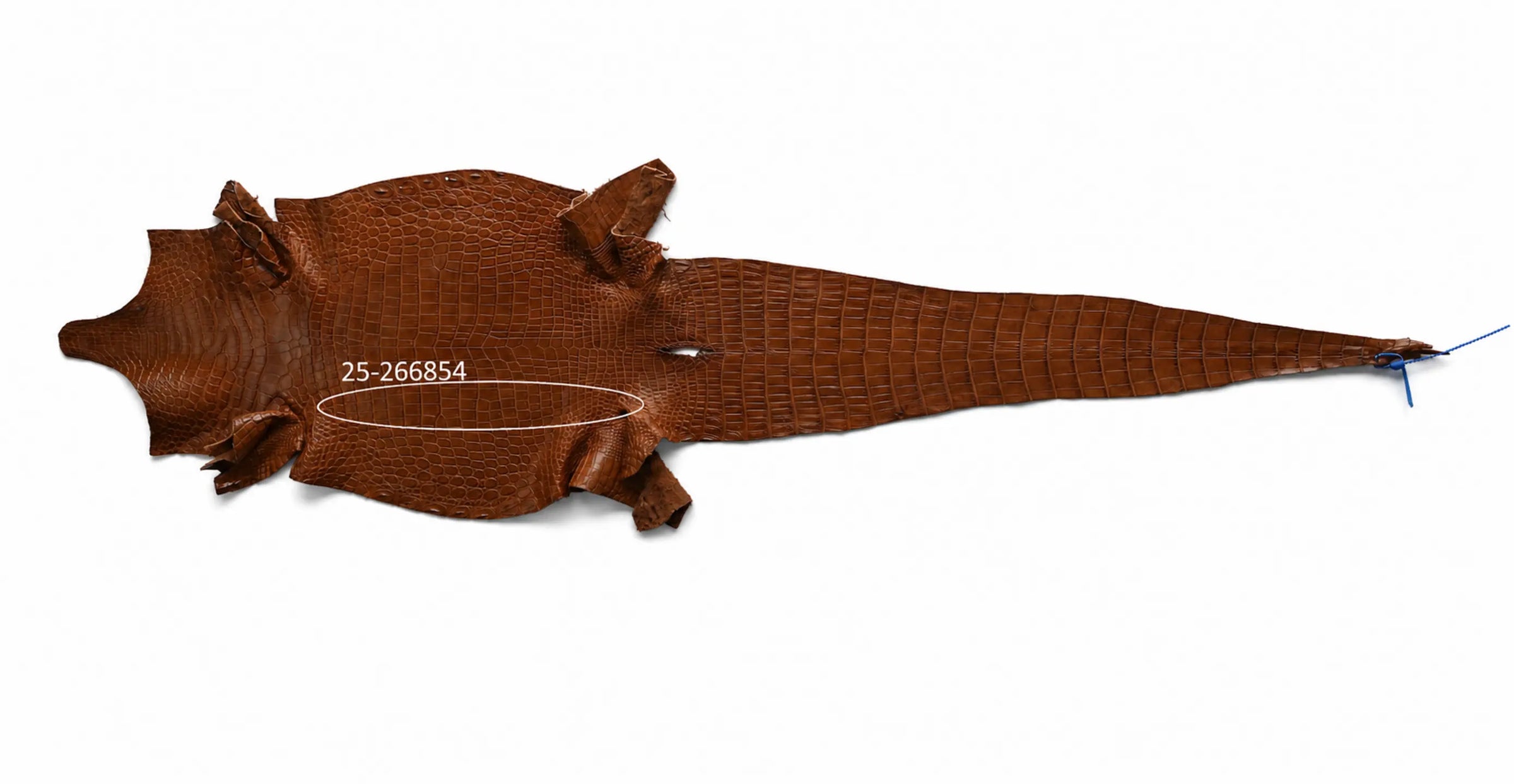 Seronera belt - Cognac / 75 cm / 35 mm - 127411 - skin