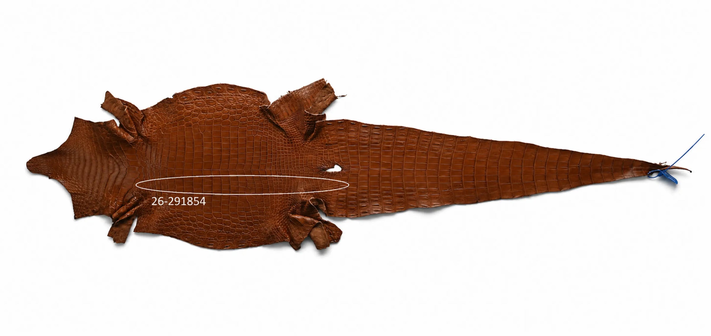 Seronera belt - Cognac / 75 cm / 35 mm - 127695 - skin