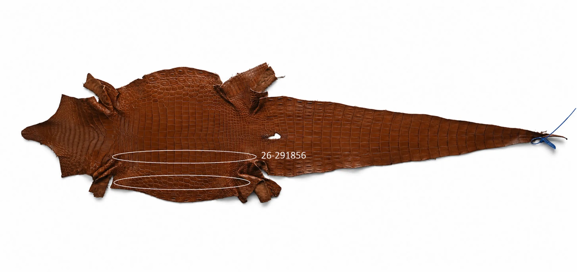 Seronera belt - Cognac / 115 cm / 35 mm - 127697 - skin
