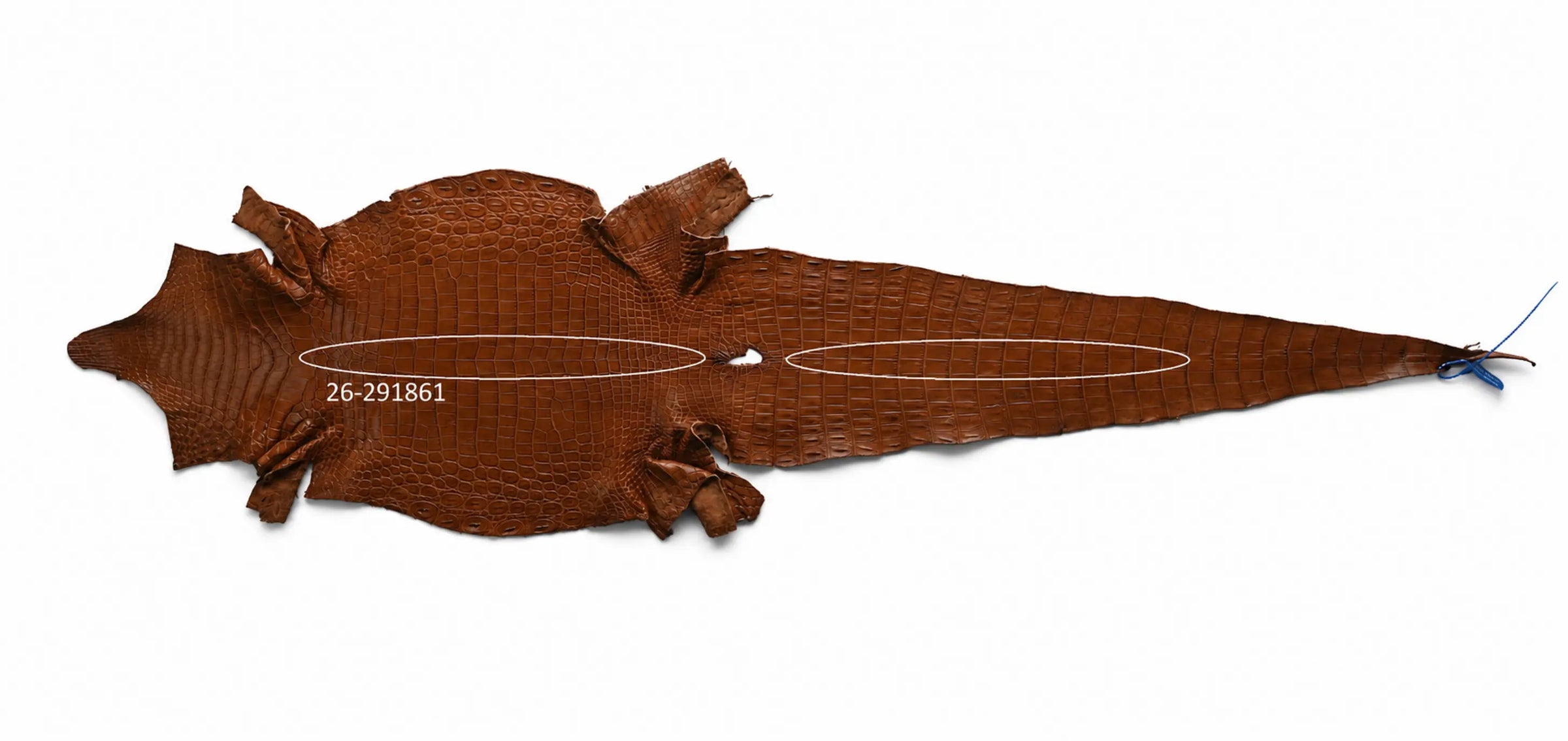 Seronera belt - Cognac / 85 cm / 35 mm - 127702 - skin