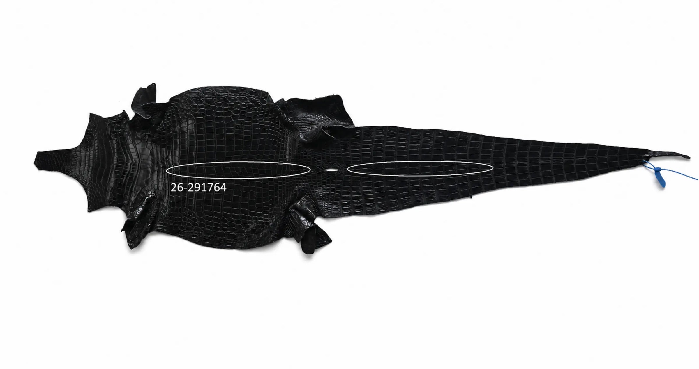 Seronera Female Belt - Black / 115 cm / 30 mm - 127261 - skin