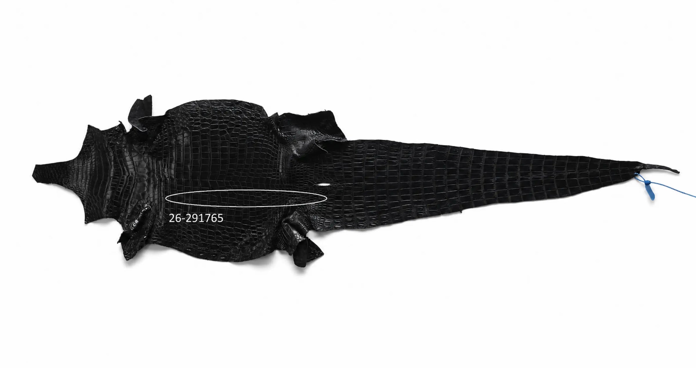 Seronera Female Belt - Black / 100 cm / 30 mm - 127262 - skin