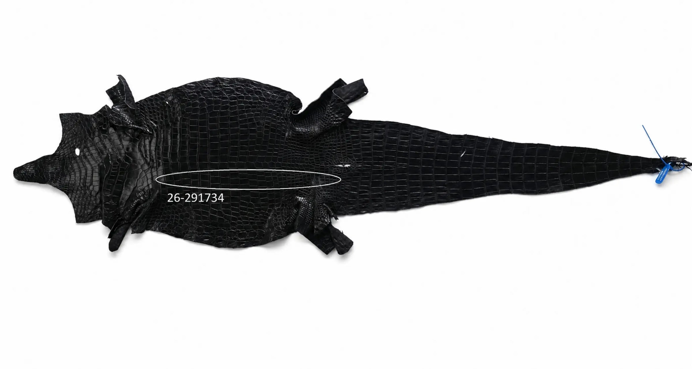 Seronera Female Belt - Black / 100 cm / 25 mm - 127231 - skin
