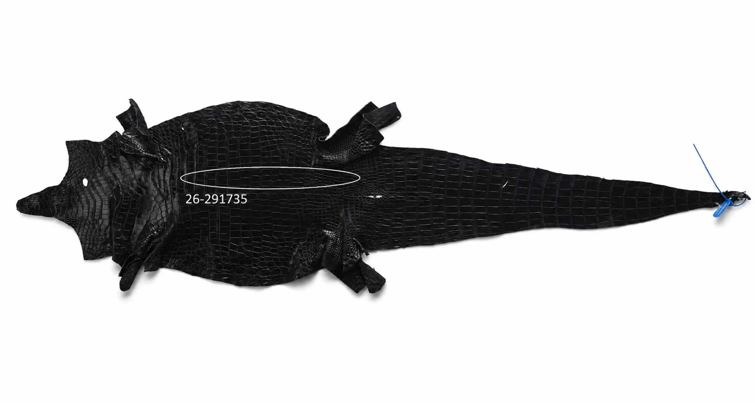 Seronera Female Belt - Black / 100 cm / 25 mm - 127232 - skin