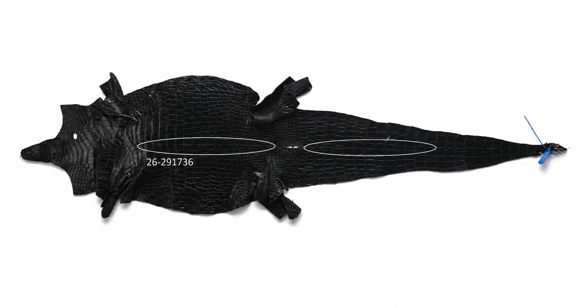 Seronera Female Belt - Black / 120 cm / 25 mm - 127233 - skin