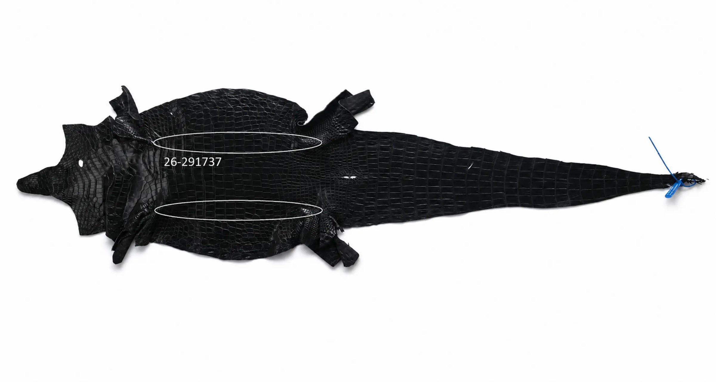 Seronera Female Belt - Black / 115 cm / 25 mm - 127234 - skin