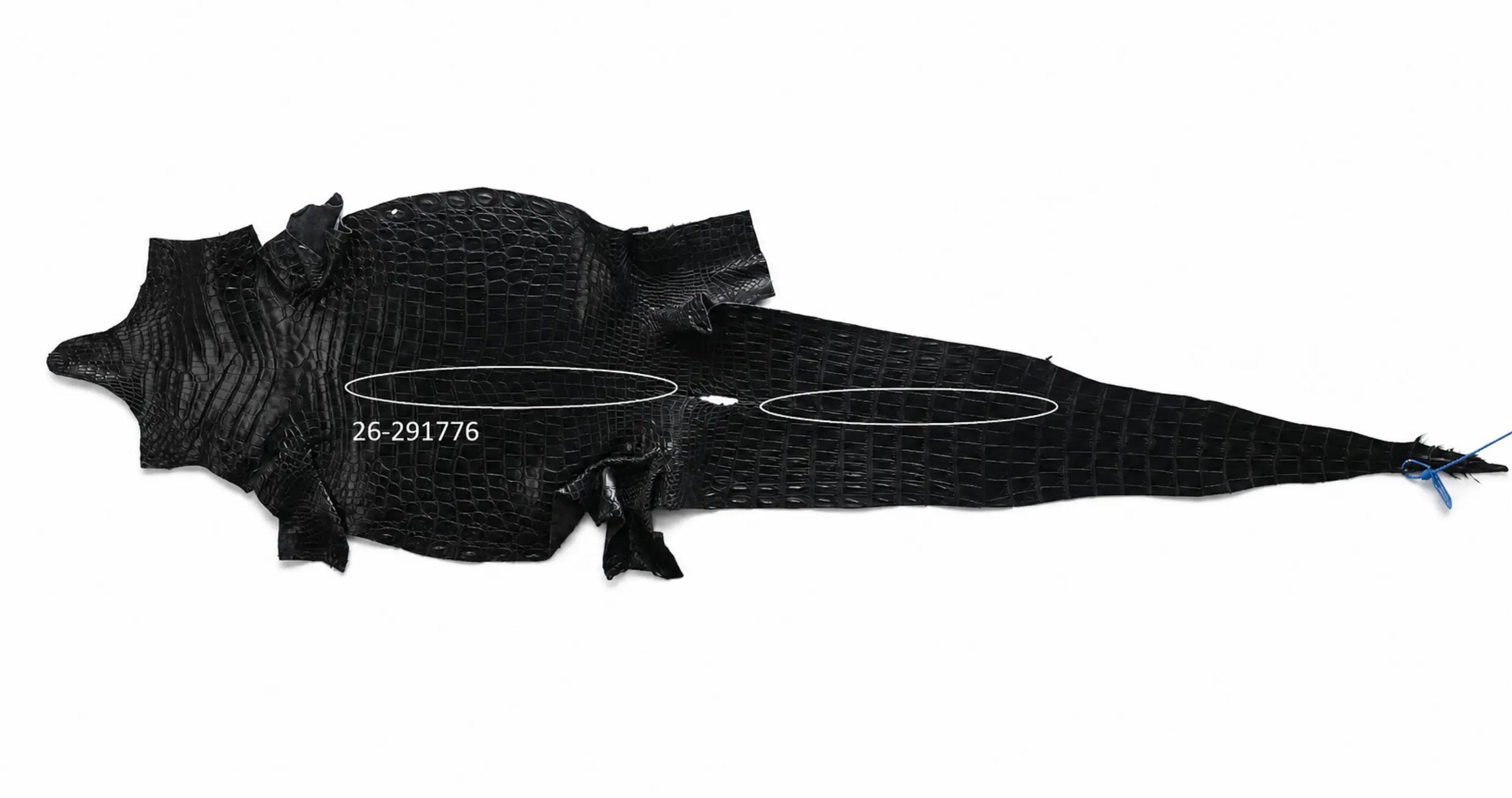 Seronera Female Belt - Black / 100 cm / 25 mm - 127617 - skin