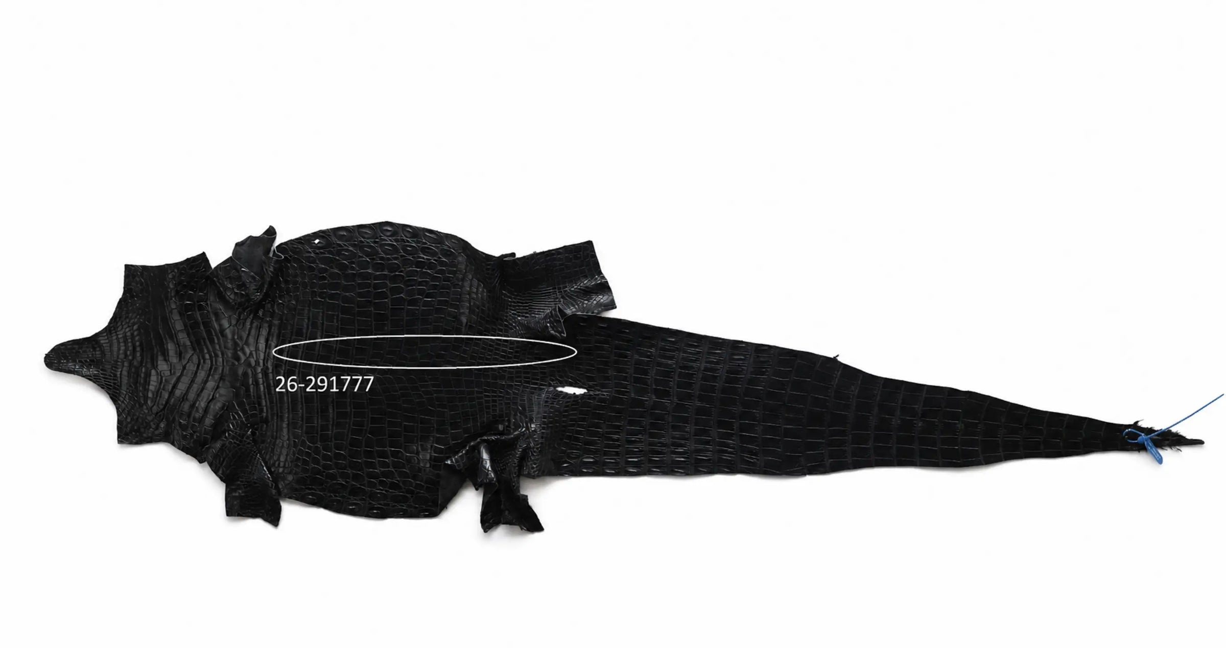 Seronera Female Belt - Black / 105 cm / 25 mm - 127618 - skin