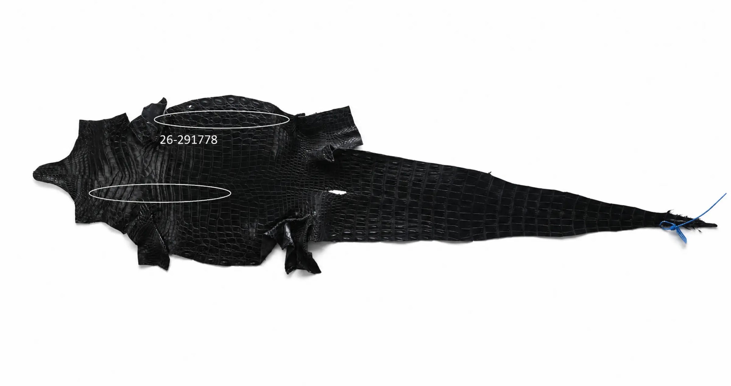 Seronera Female Belt - Black / 110 cm / 25 mm - 127619 - skin