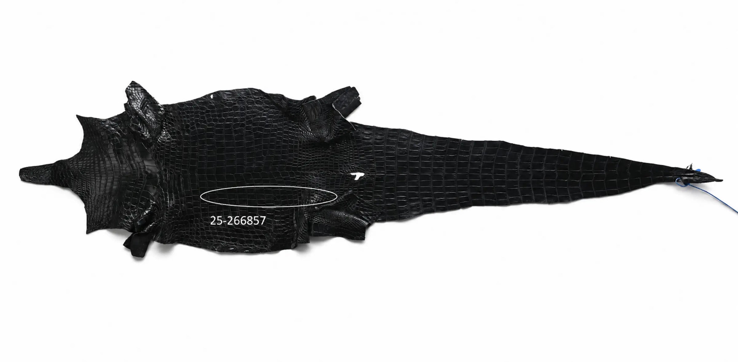 Seronera belt - Black / 70 cm / 35 mm - 127414 - skin