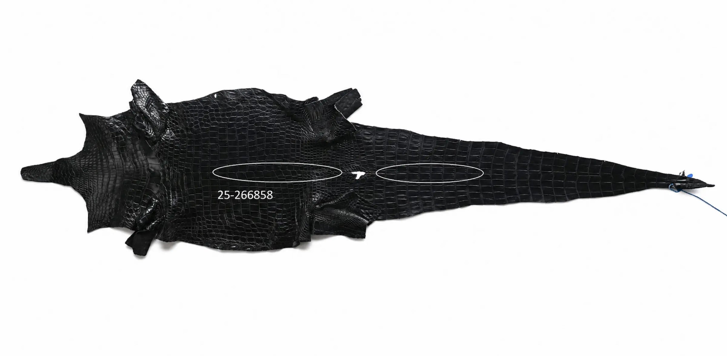 Seronera belt - Black / 85 cm / 35 mm - 127415 - skin