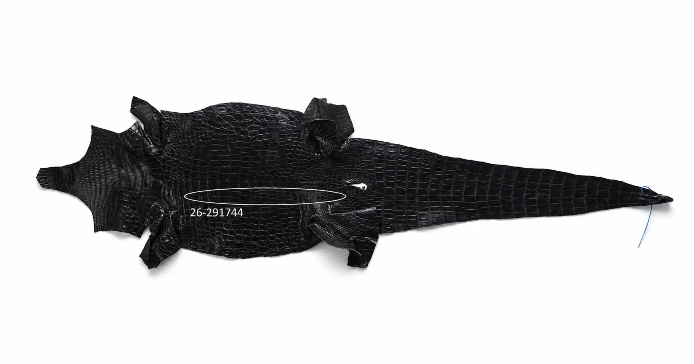 Seronera Female Belt - Black / 115 cm / 30 mm - 127241 - skin