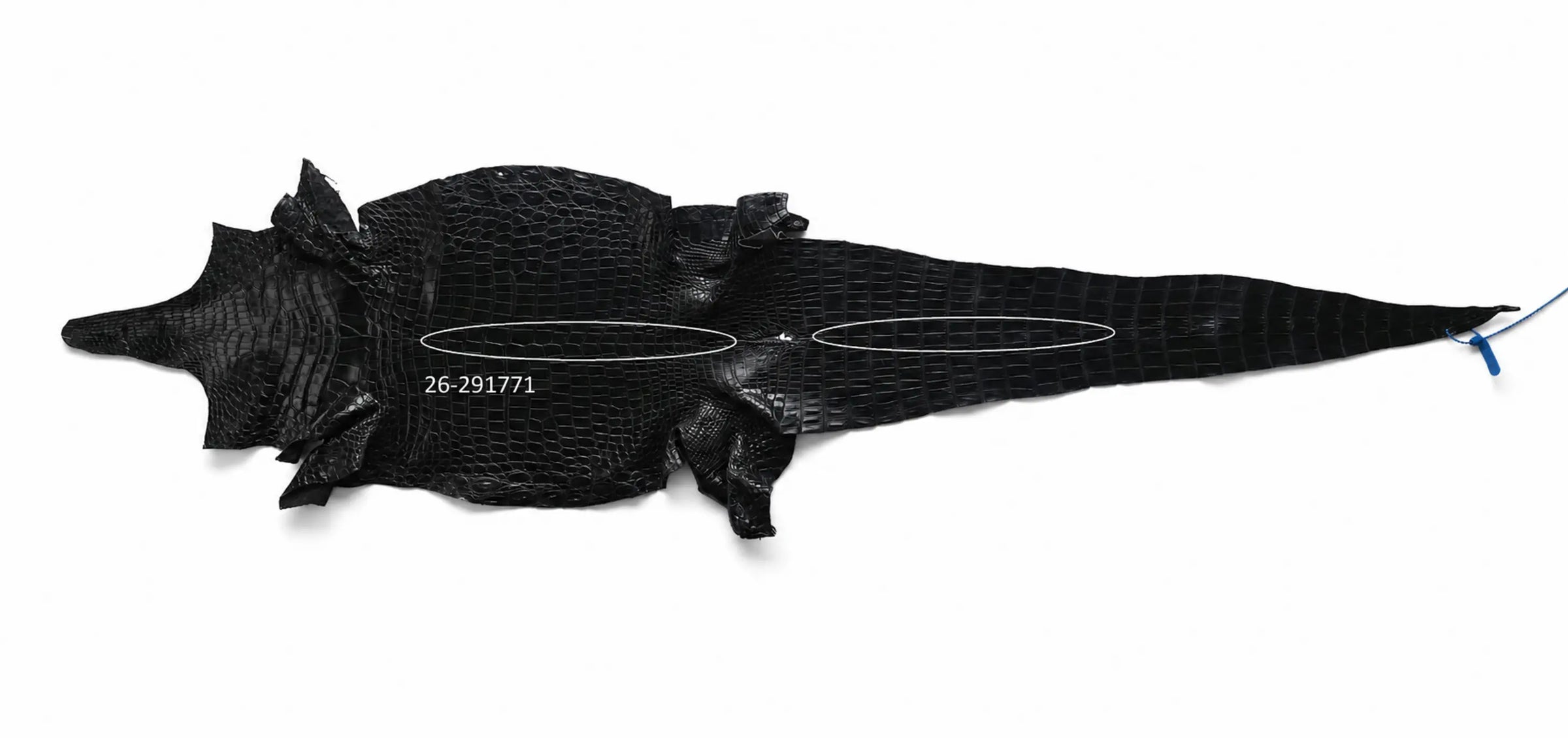 Seronera Female Belt - Black / 105 cm / 30 mm - 127268 - skin