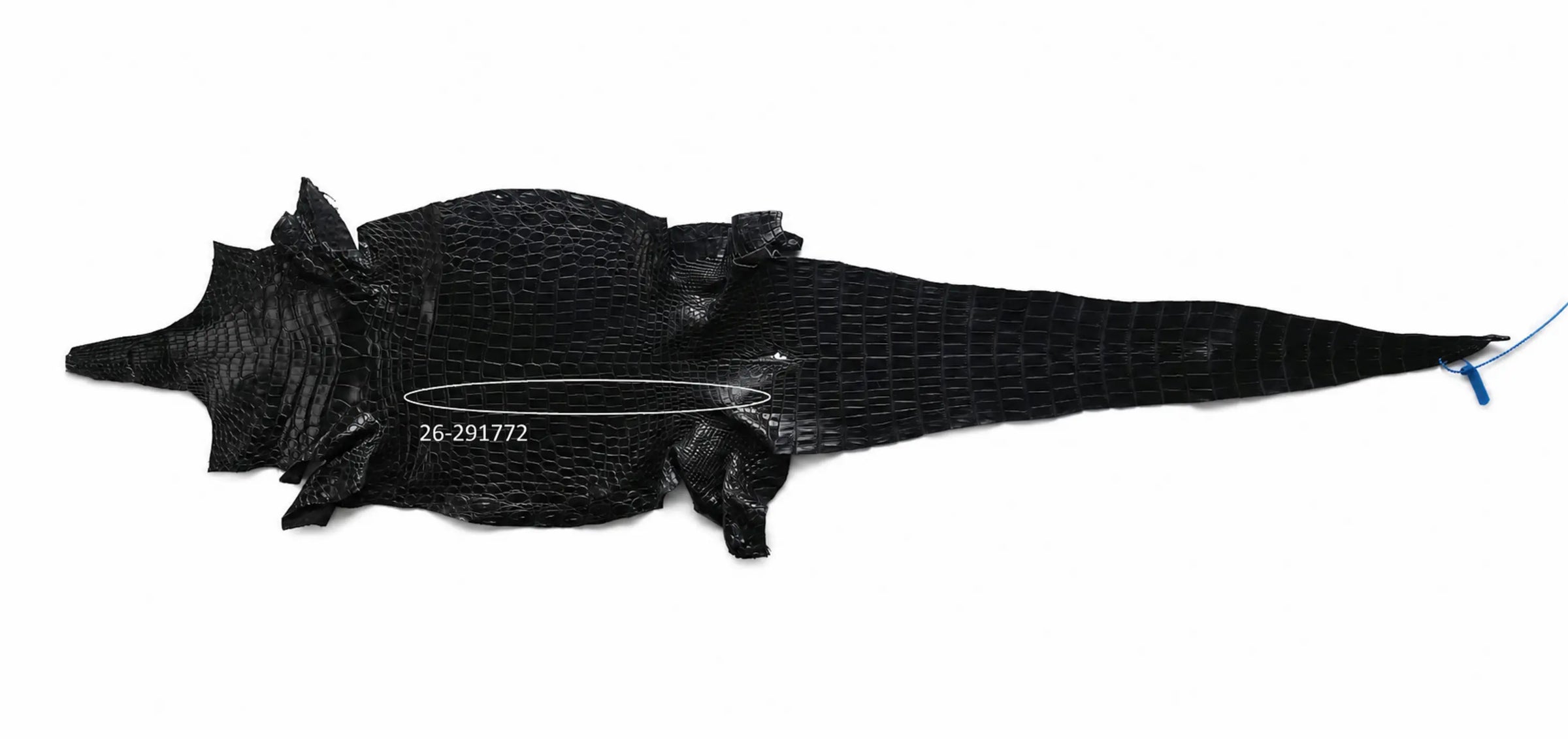 Seronera Female Belt - Black / 110 cm / 30 mm - 127269 - skin