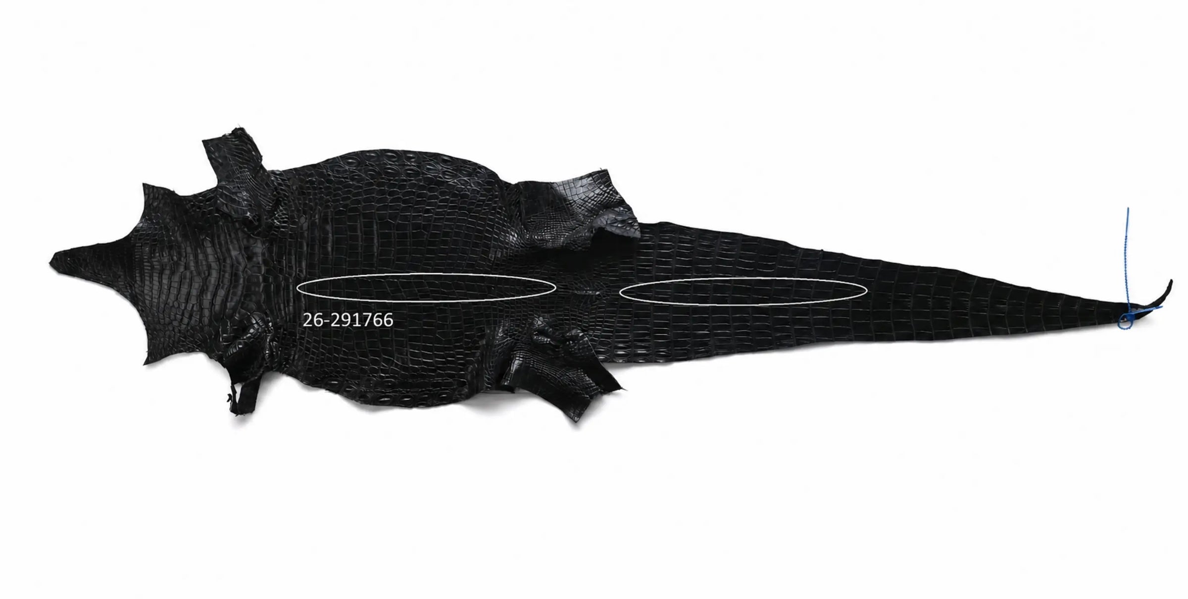 Seronera Female Belt - Black / 105 cm / 25 mm - 127263 - skin
