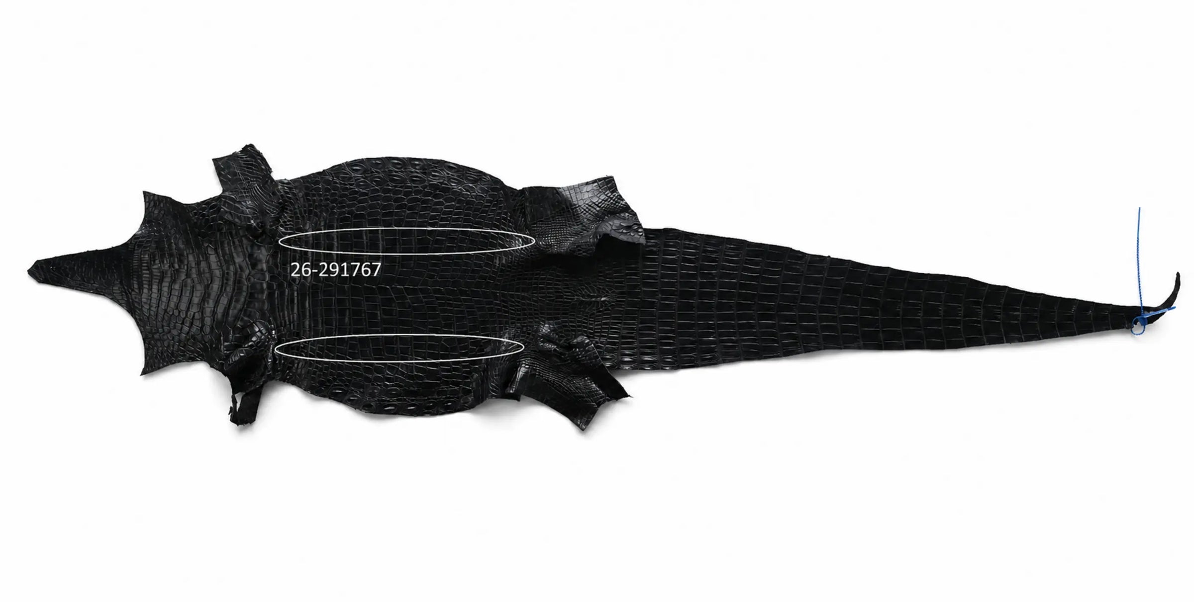 Seronera Female Belt - Black / 100 cm / 25 mm - 127264 - skin