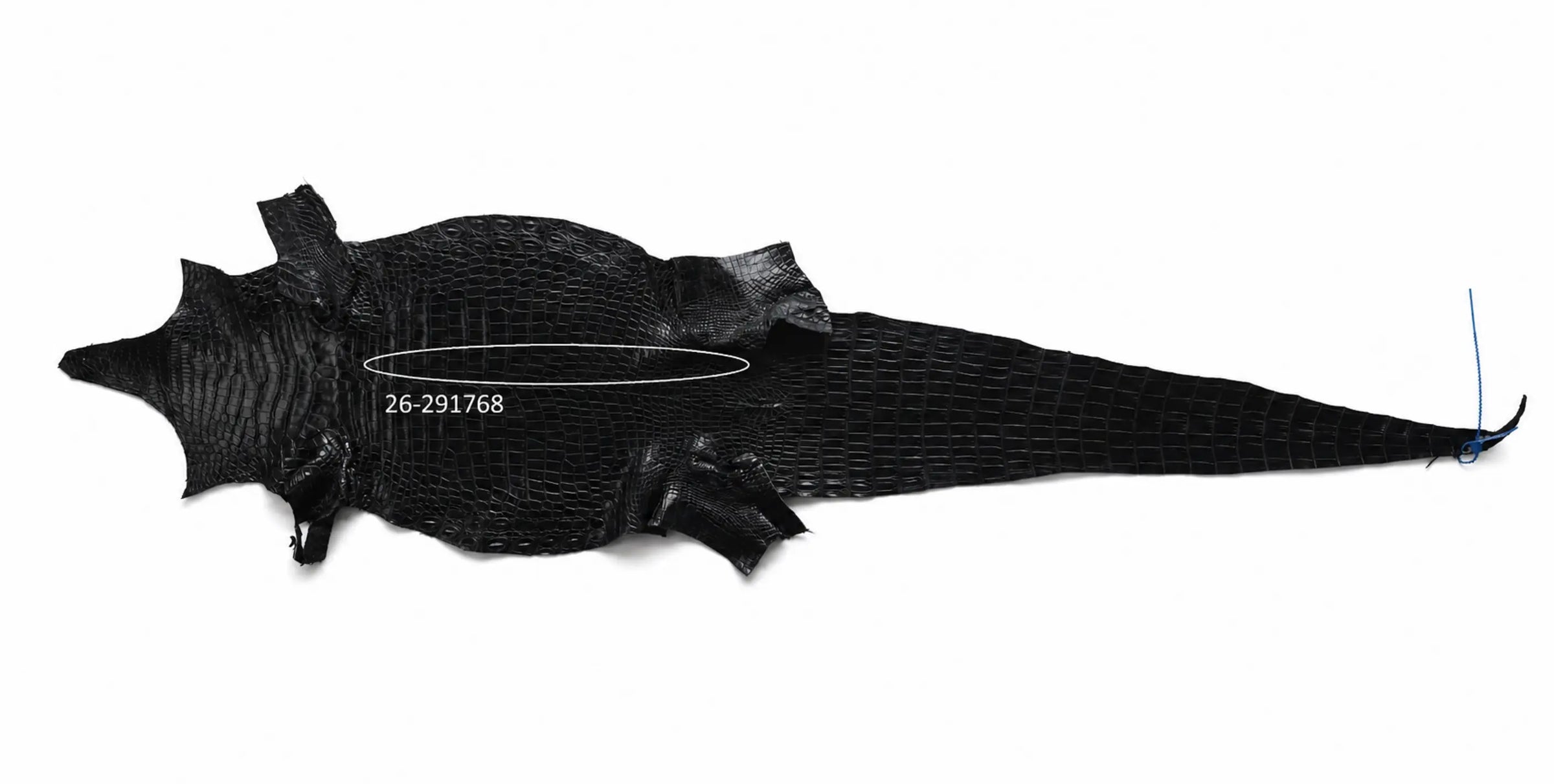 Seronera Female Belt - Black / 105 cm / 25 mm - 127265 - skin