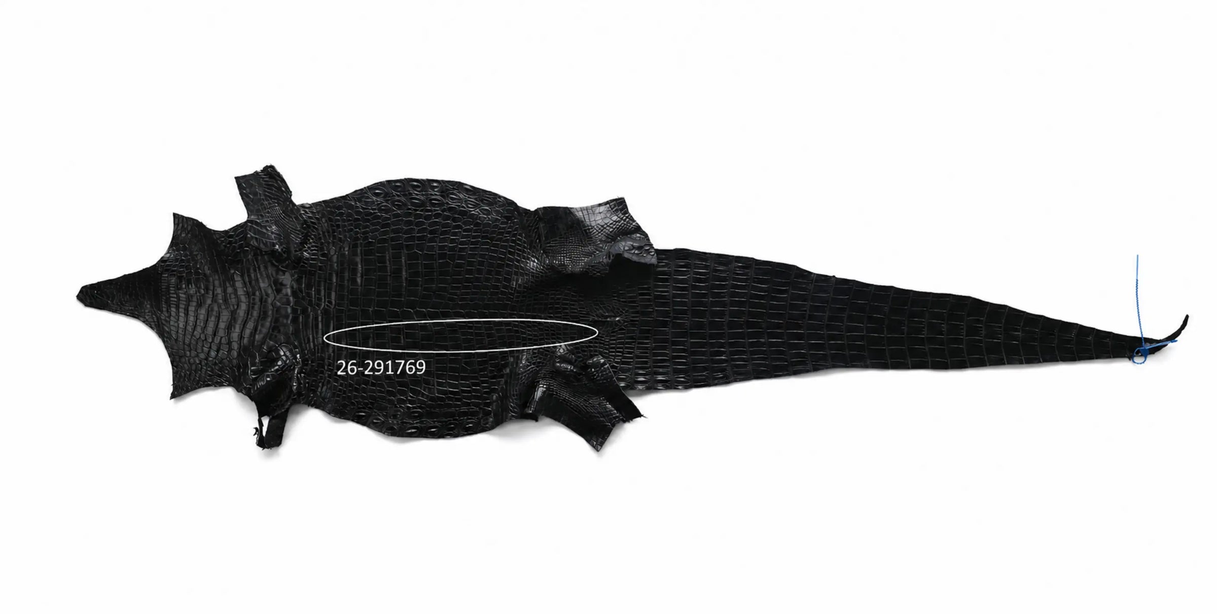 Seronera Female Belt - Black / 105 cm / 25 mm - 127266 - skin