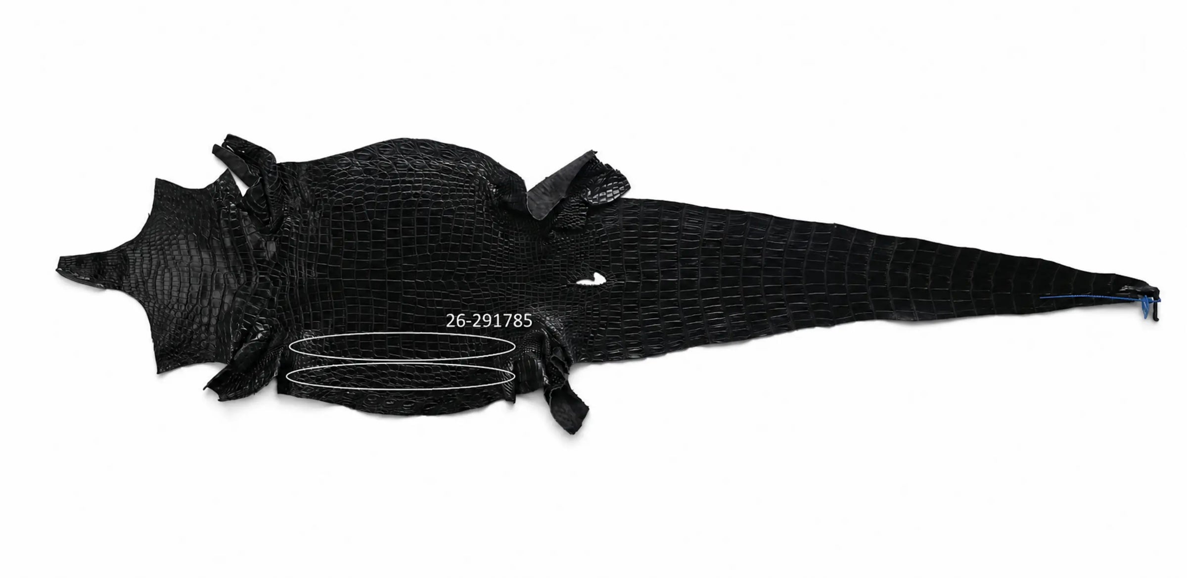 Seronera Female Belt - Black / 100 cm / 25 mm - 127279 - skin