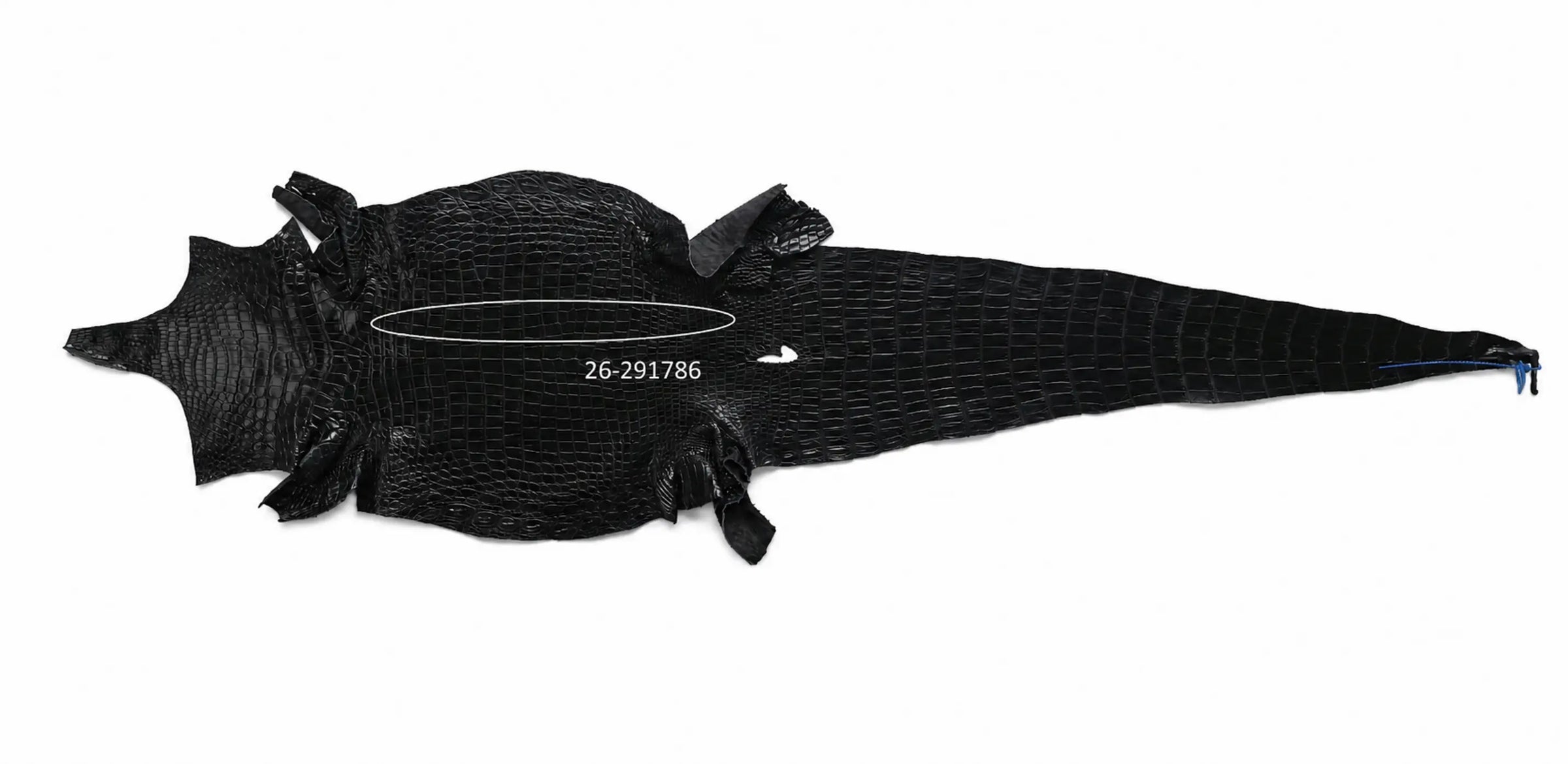 Seronera Female Belt - Black / 105 cm / 25 mm - 127280 - skin
