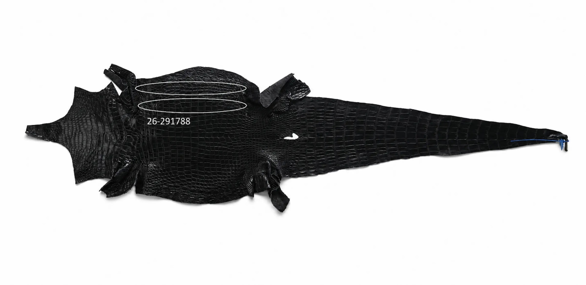 Seronera Female Belt - Black / 115 cm / 25 mm - 127282 - skin