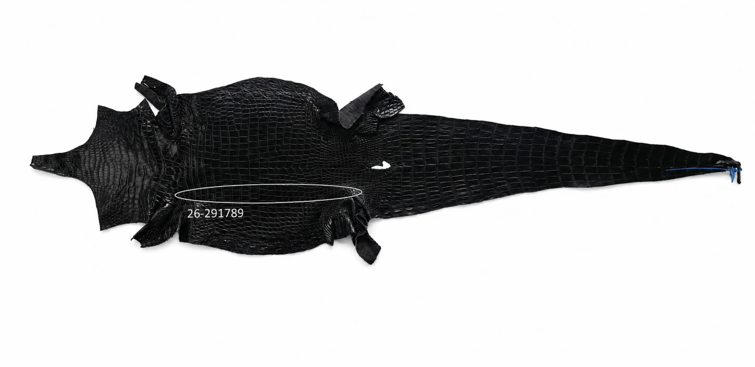 Seronera Female Belt - Black / 110 cm / 25 mm - 127283 - skin