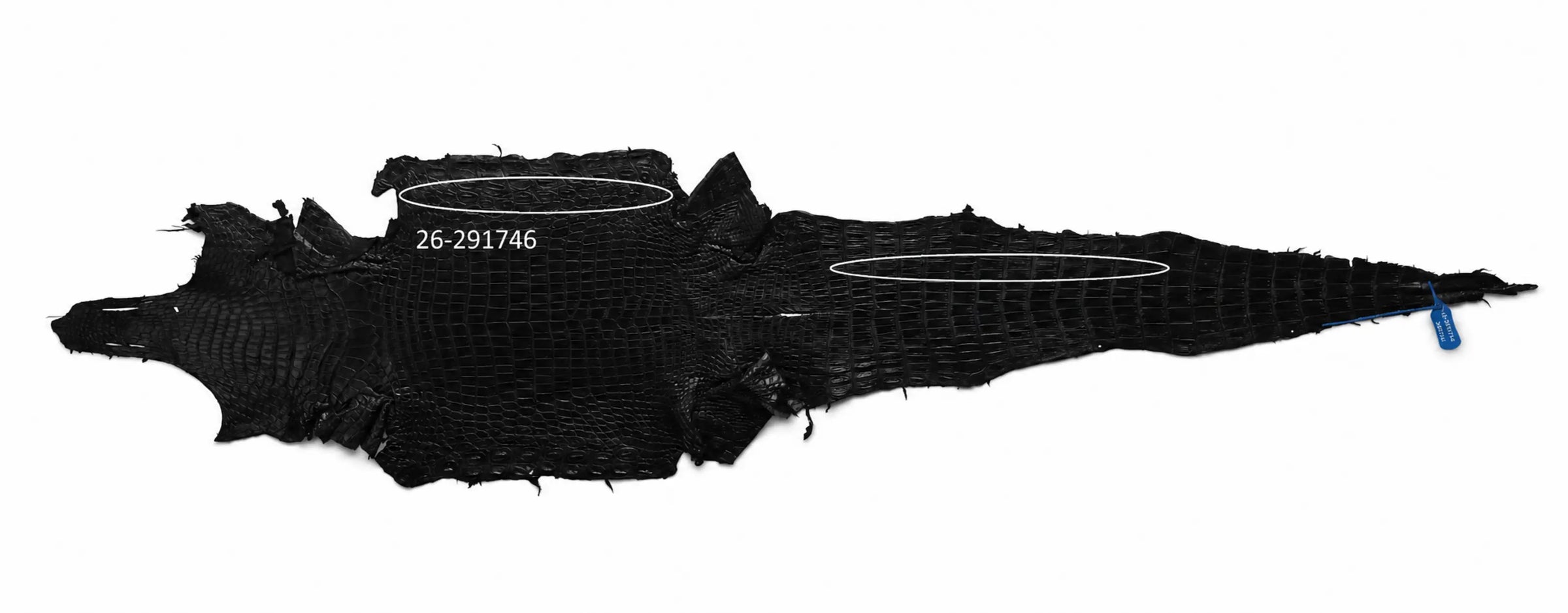 Seronera Female Belt - Black / 95 cm / 25 mm - 127243 - skin