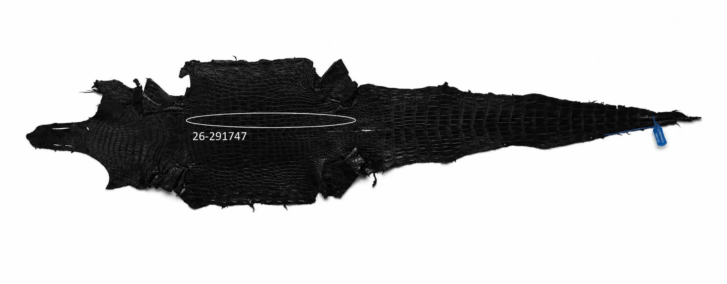 Seronera Female Belt - Black / 105 cm / 25 mm - 127244 - skin