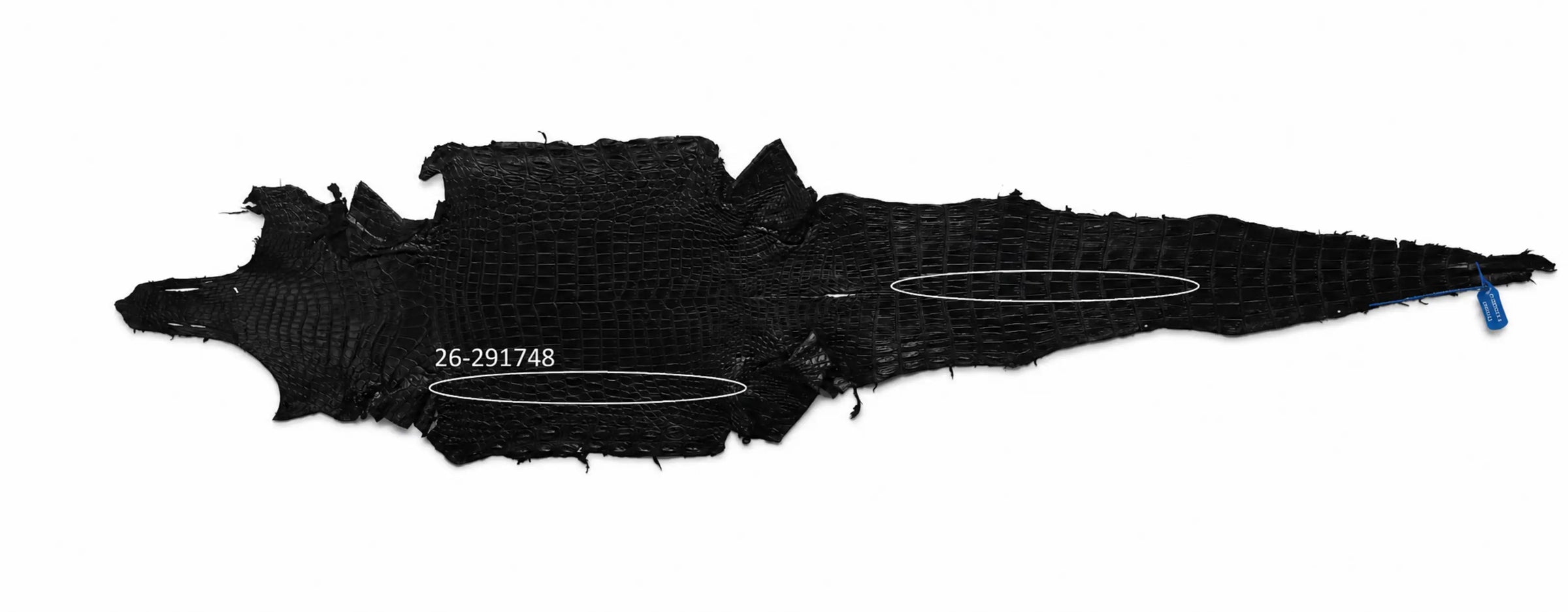 Seronera Female Belt - Black / 105 cm / 25 mm - 127245 - skin