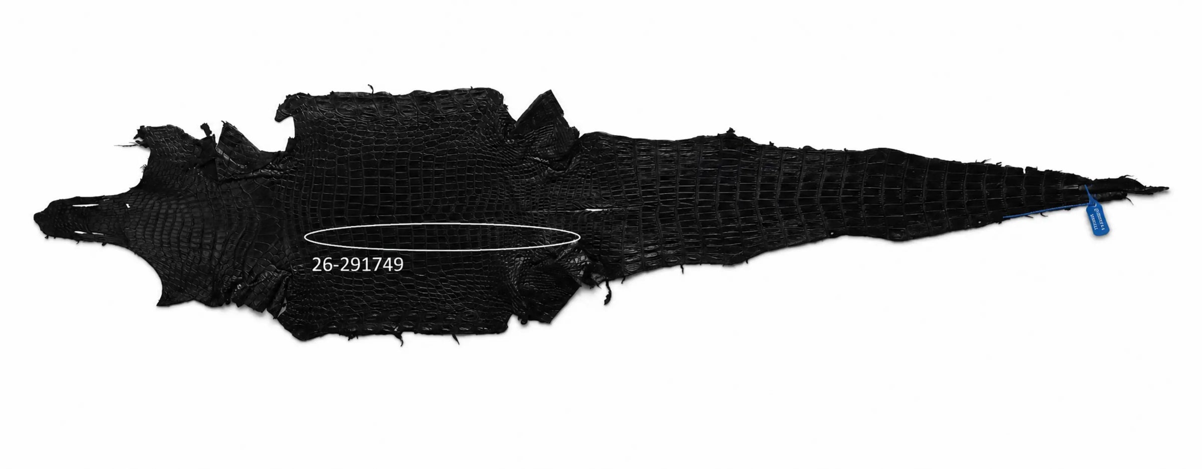 Seronera Female Belt - Black / 105 cm / 25 mm - 127246 - skin