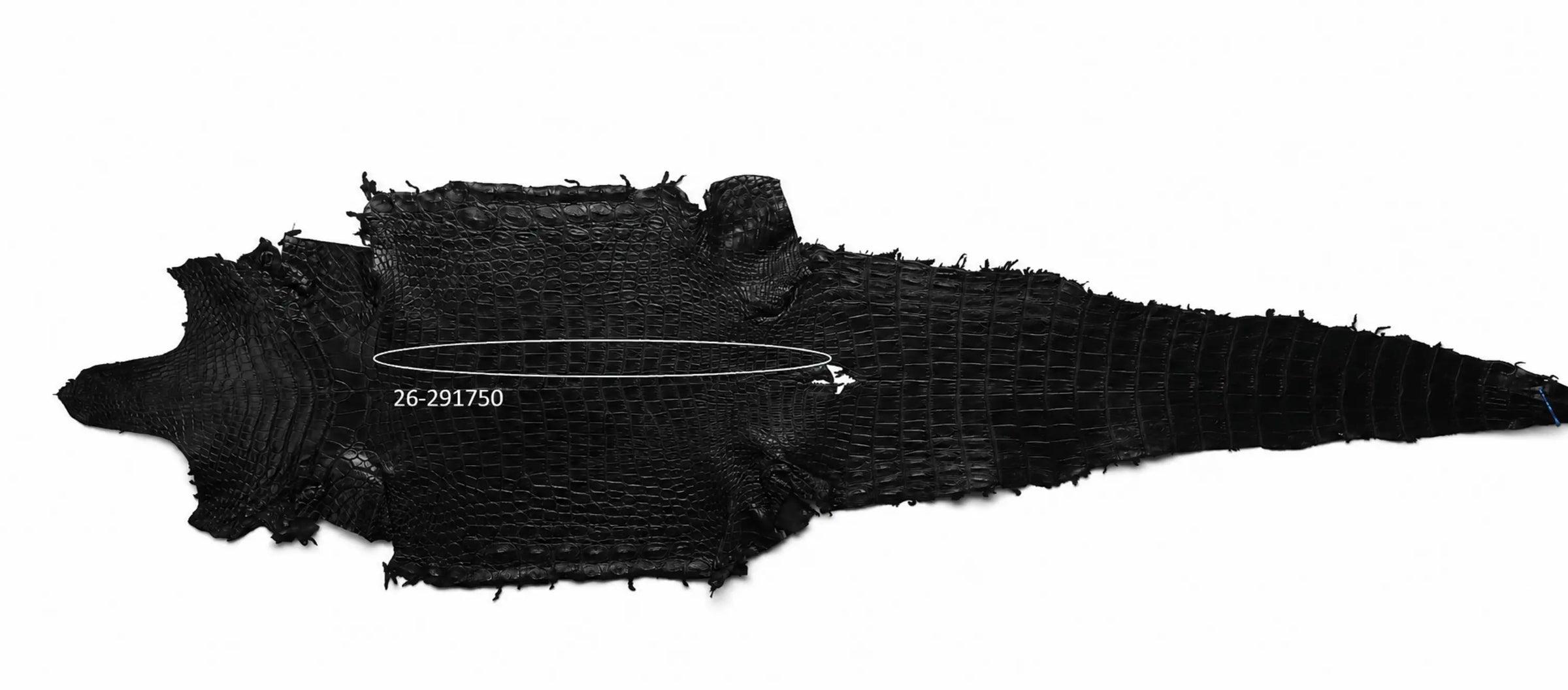 Seronera Female Belt - Black / 115 cm / 25 mm - 127247 - skin