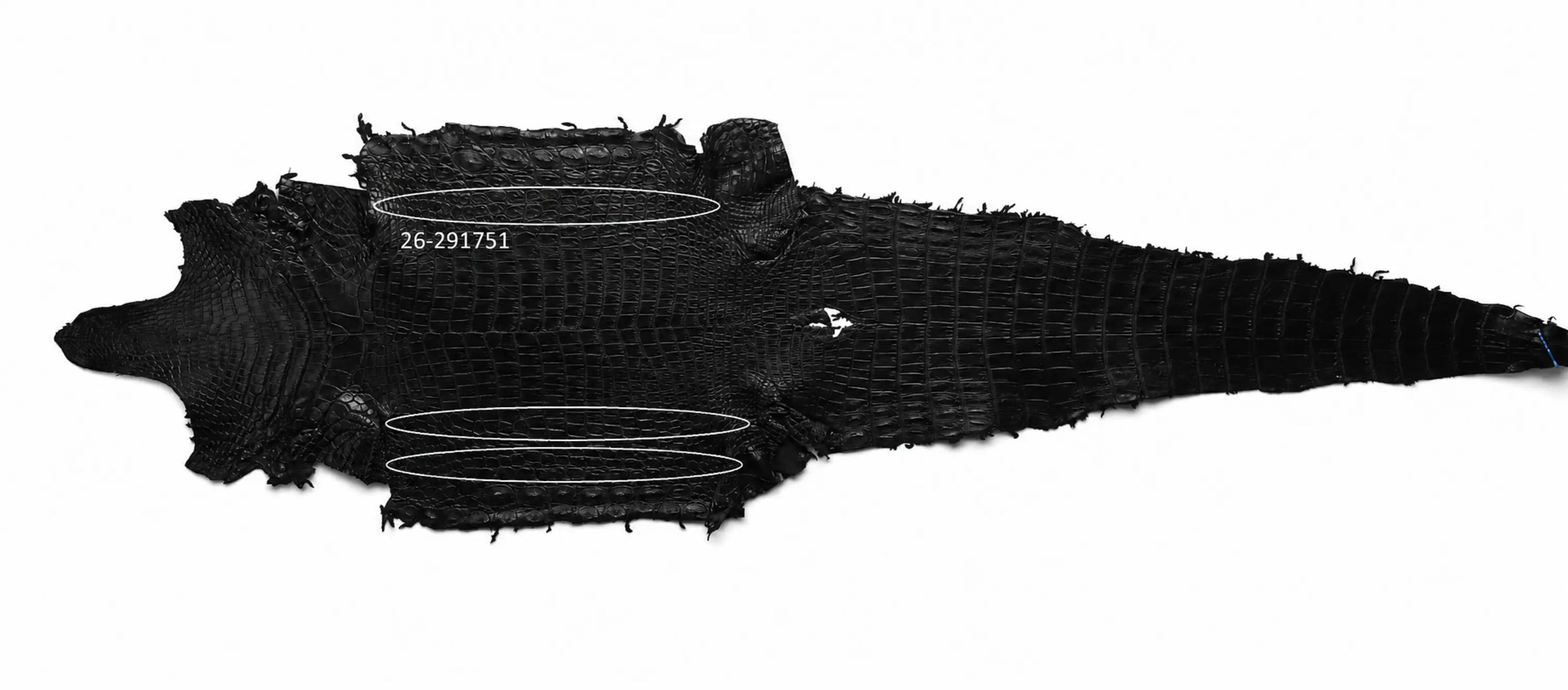 Seronera Female Belt - Black / 115 cm / 25 mm - 127248 - skin