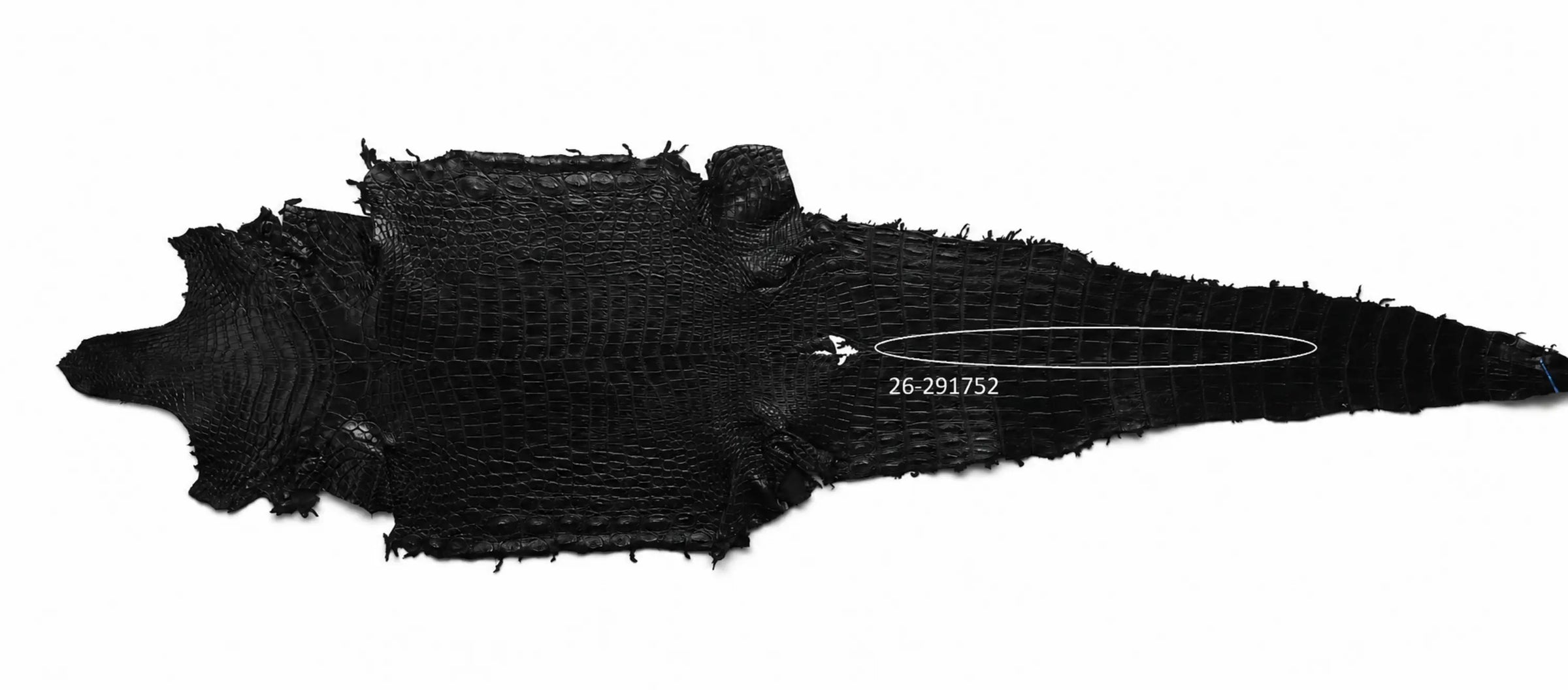 Seronera Female Belt - Black / 115 cm / 25 mm - 127249 - skin