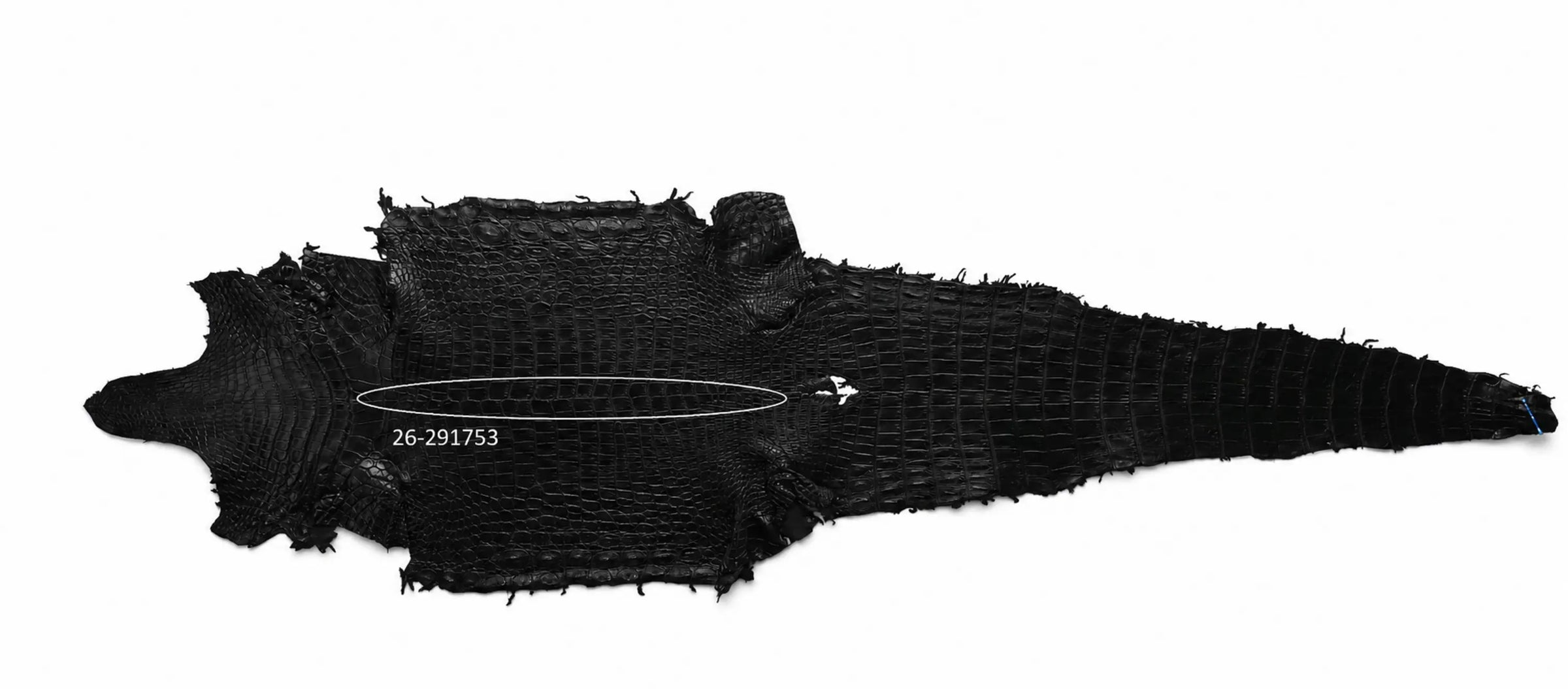 Seronera Female Belt - Black / 115 cm / 25 mm - 127250 - skin