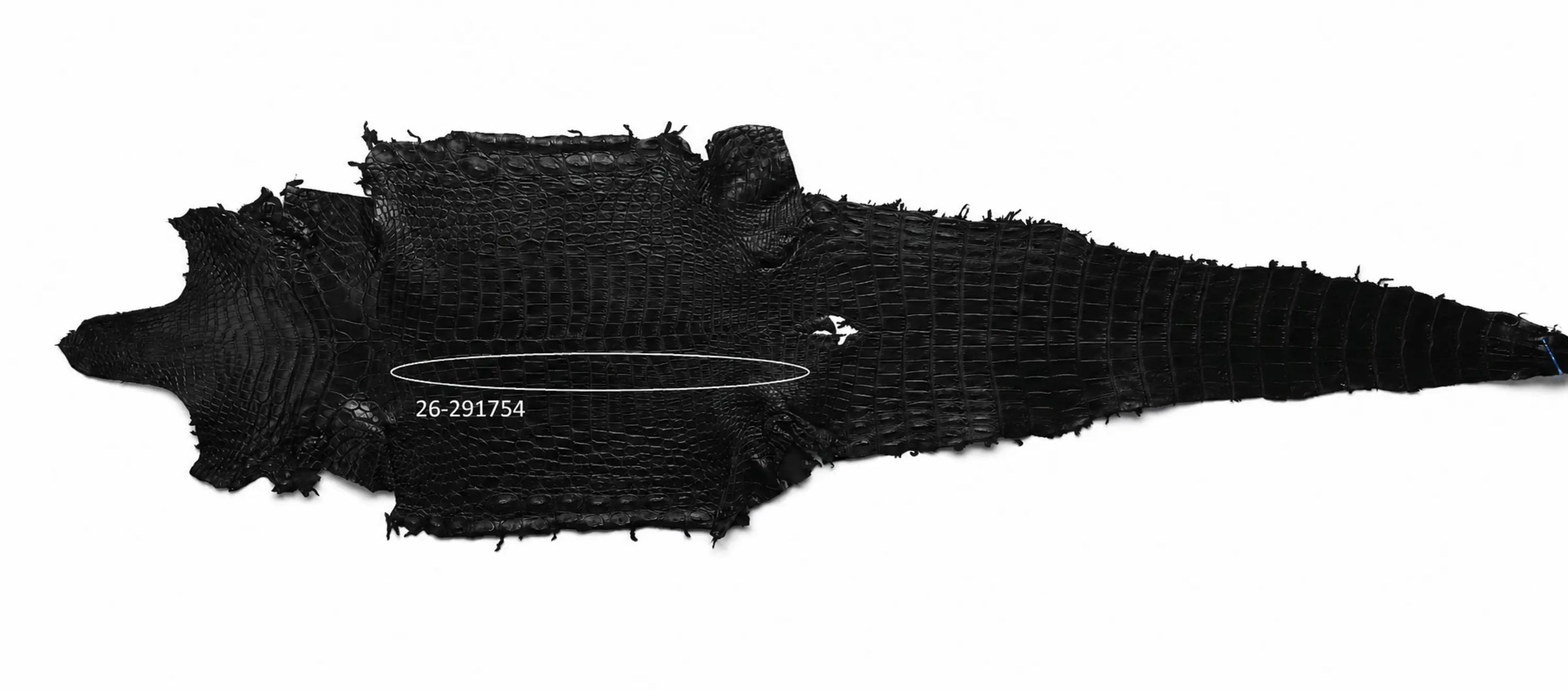 Seronera Female Belt - Black / 115 cm / 25 mm - 127251 - skin
