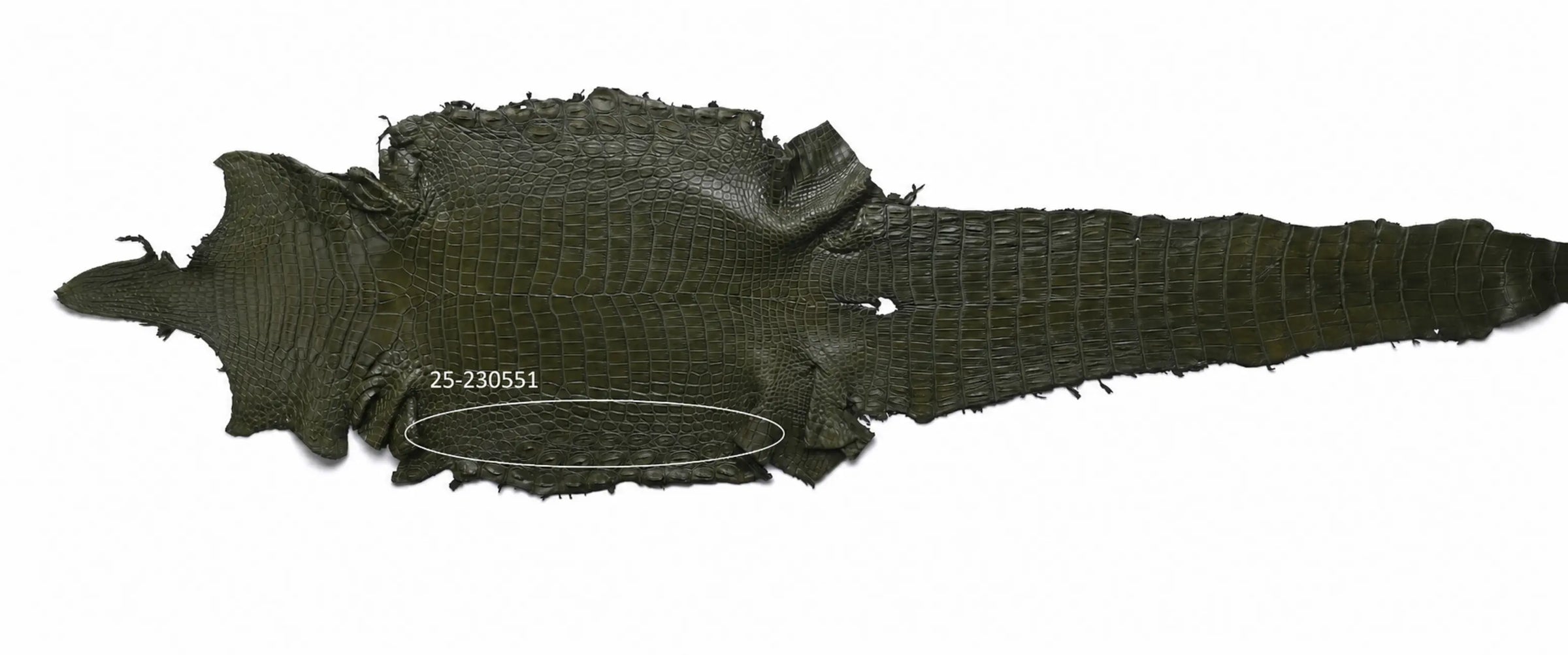 Seronera belt - Green / 120 cm / 40 mm - 126645 - skin