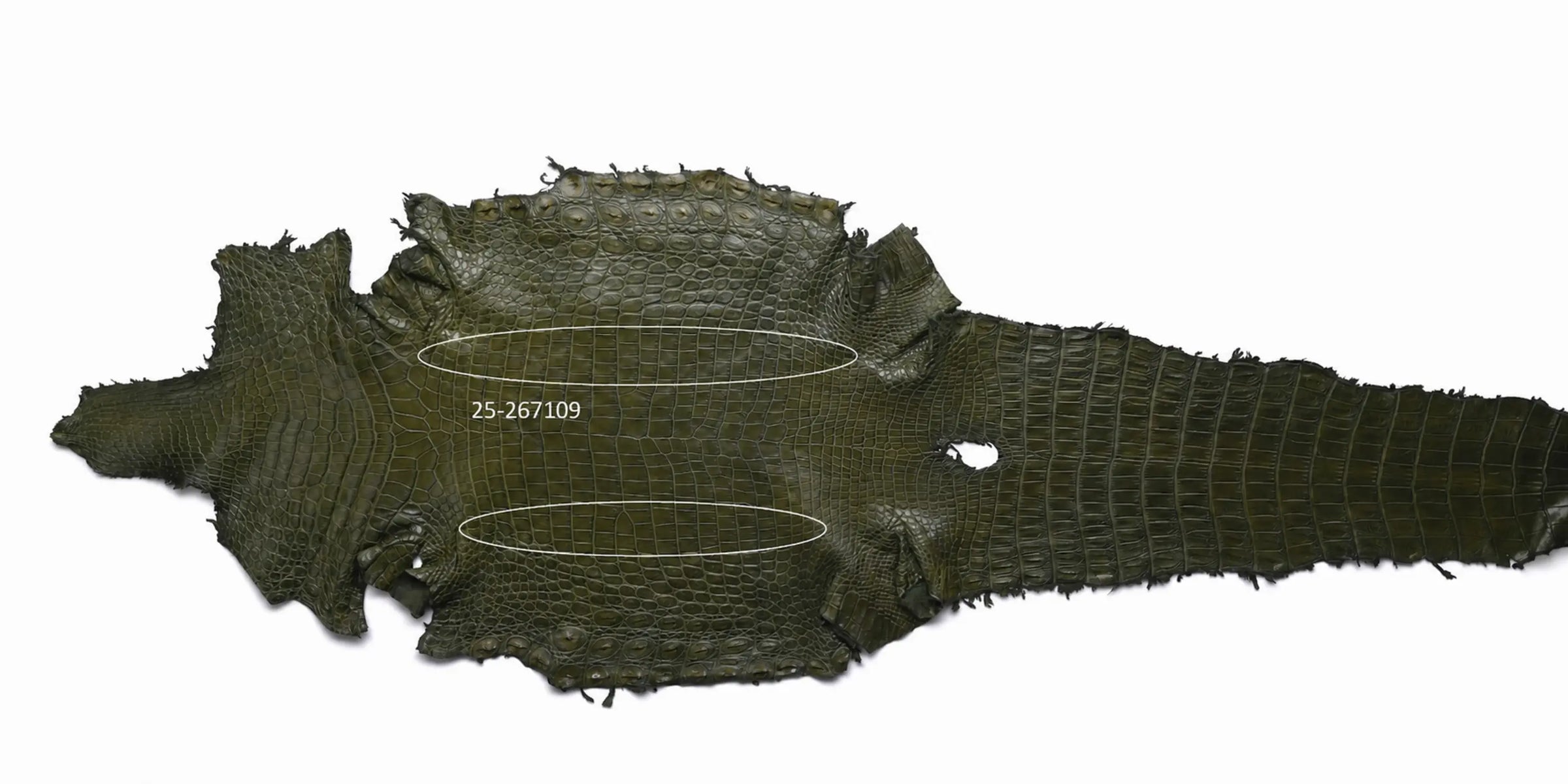 Seronera belt - Green / 105 cm / 40 mm - 127106 - skin
