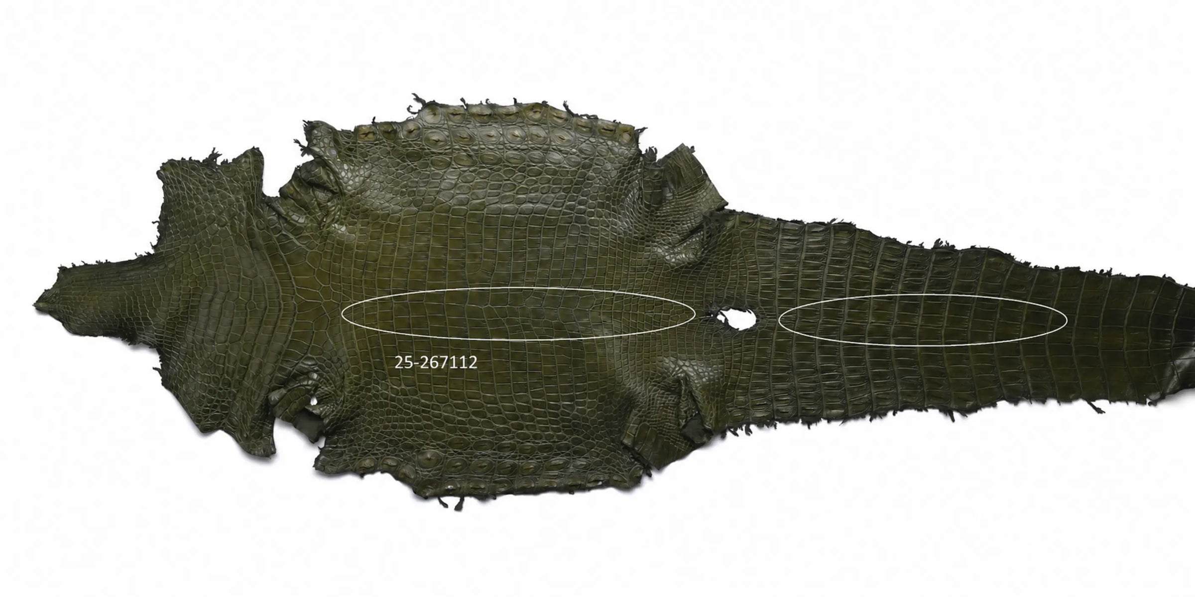 Seronera belt - Green / 105 cm / 40 mm - 127109 - skin