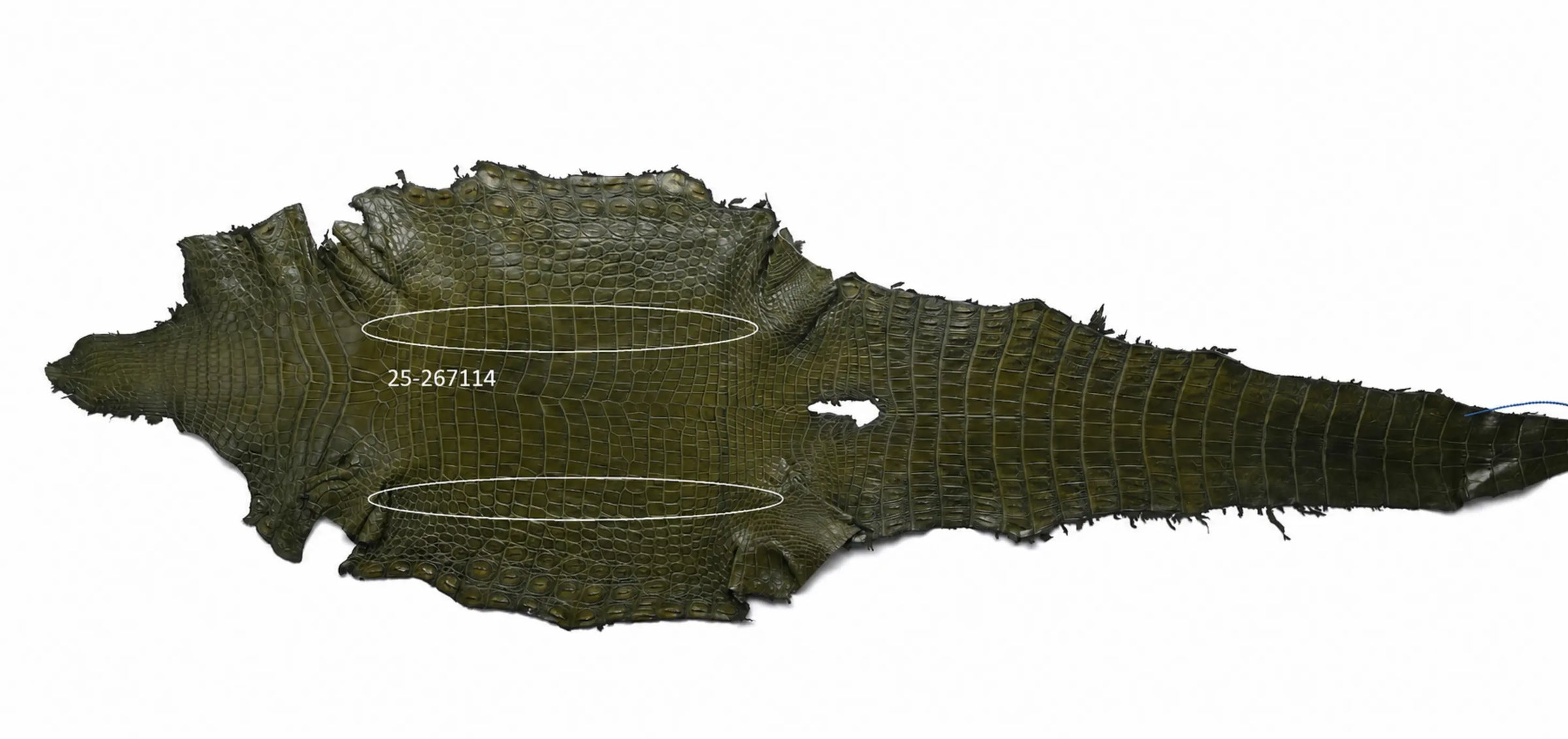 Seronera belt - Green / 105 cm / 40 mm - 127111 - skin